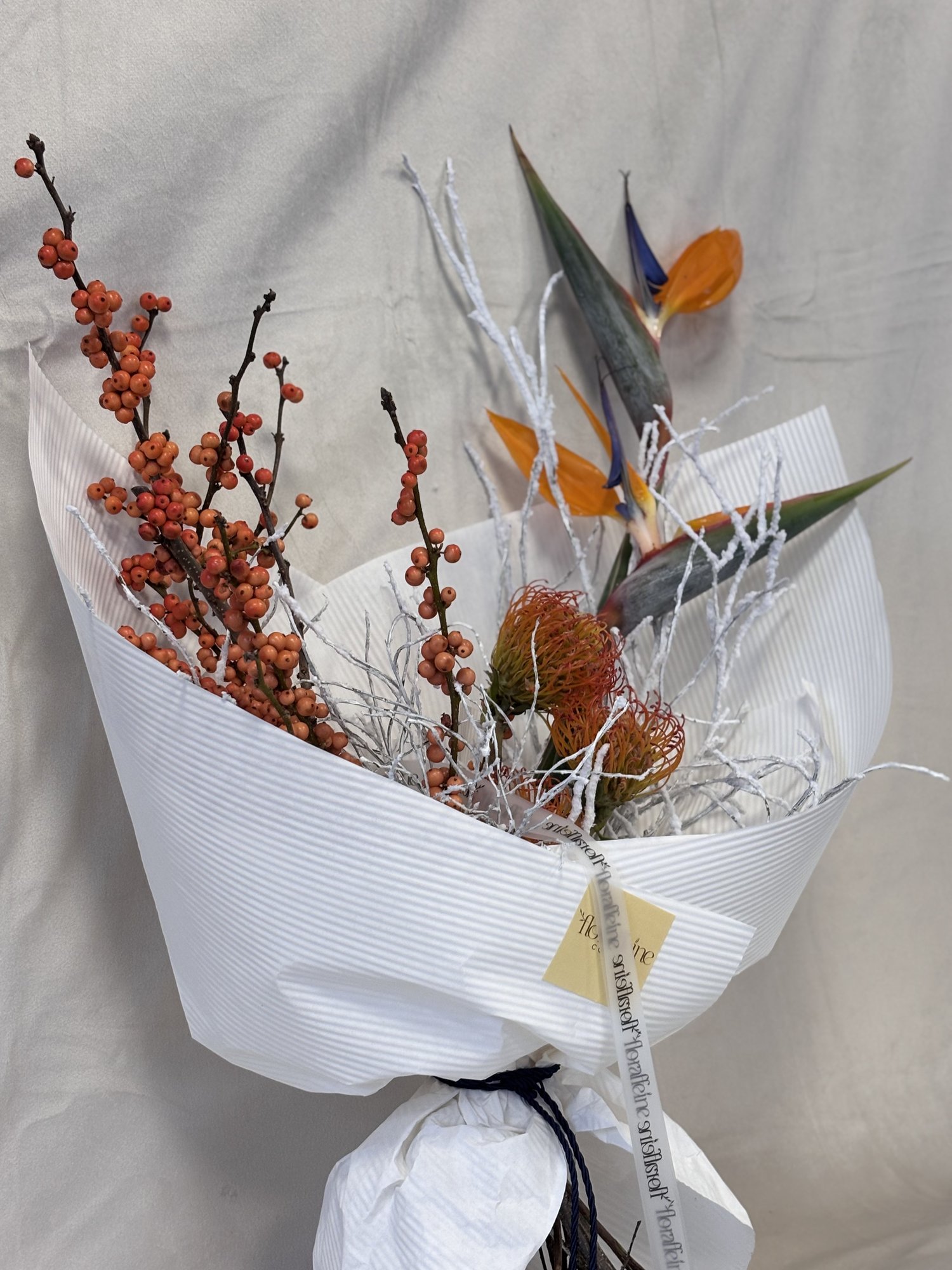 Amber Flight Couture - Imagine 2