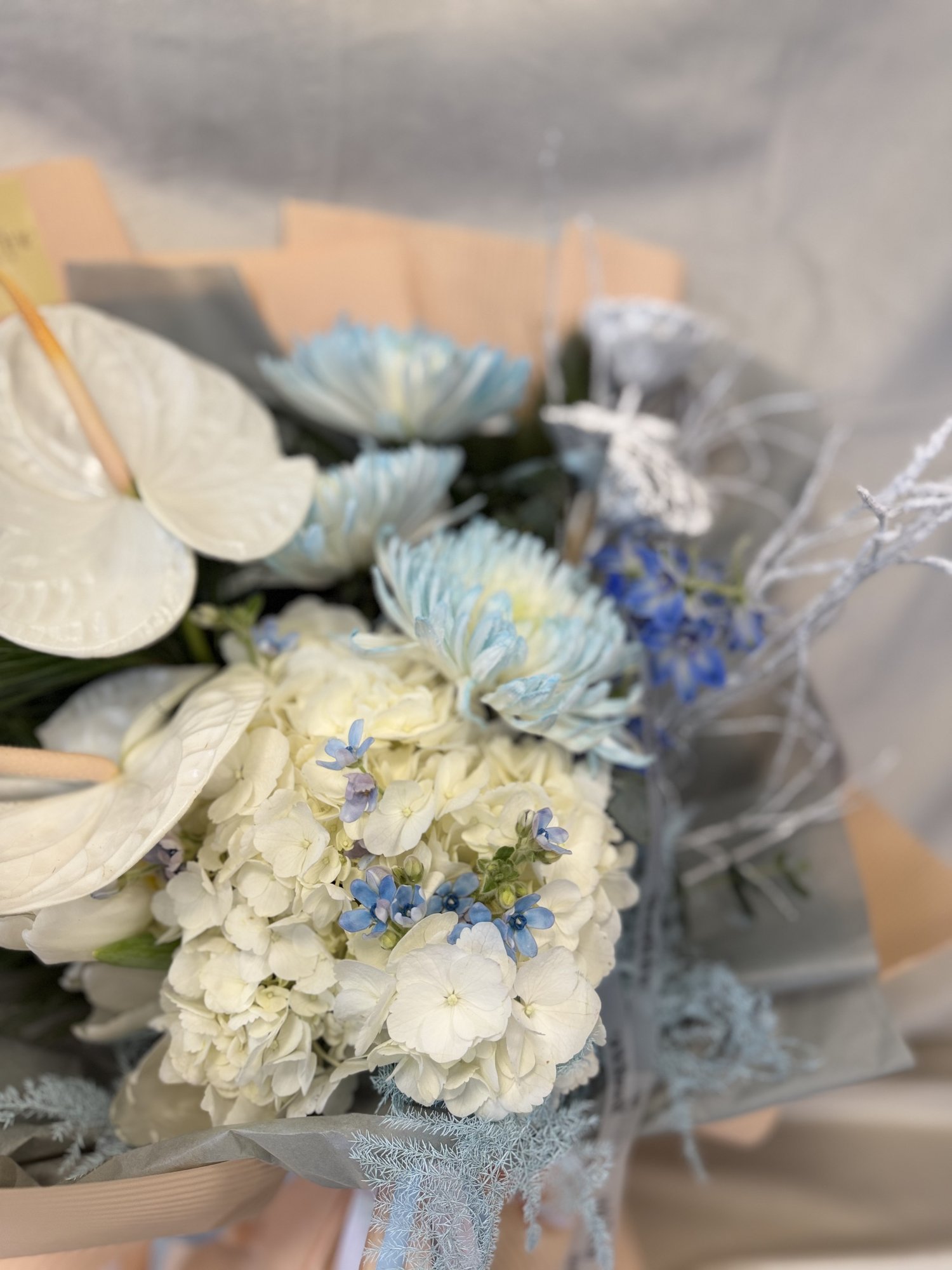 Ice Whisper Couture - Imagine 3