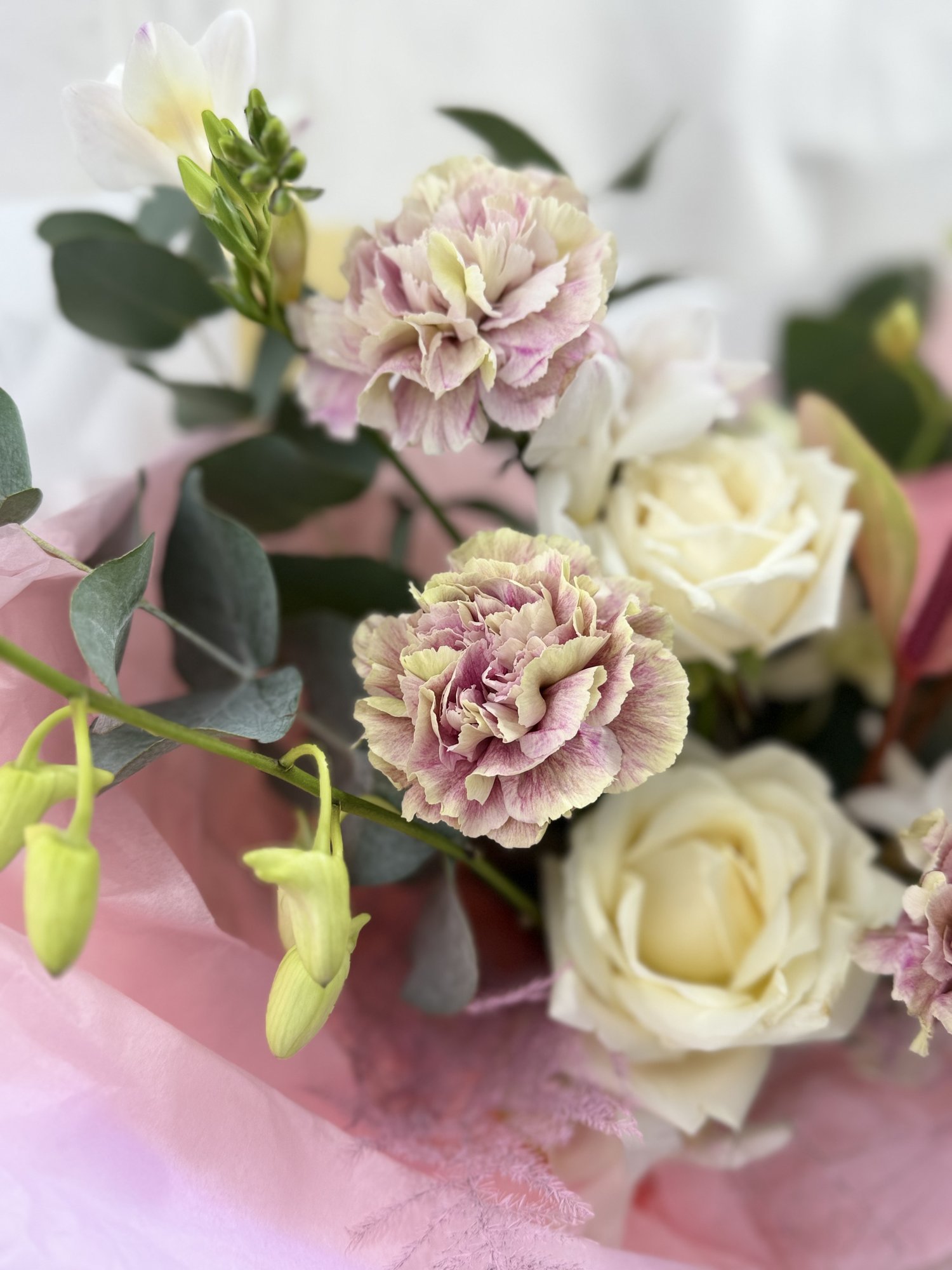 Ivory Blush Serenity - Imagine 2