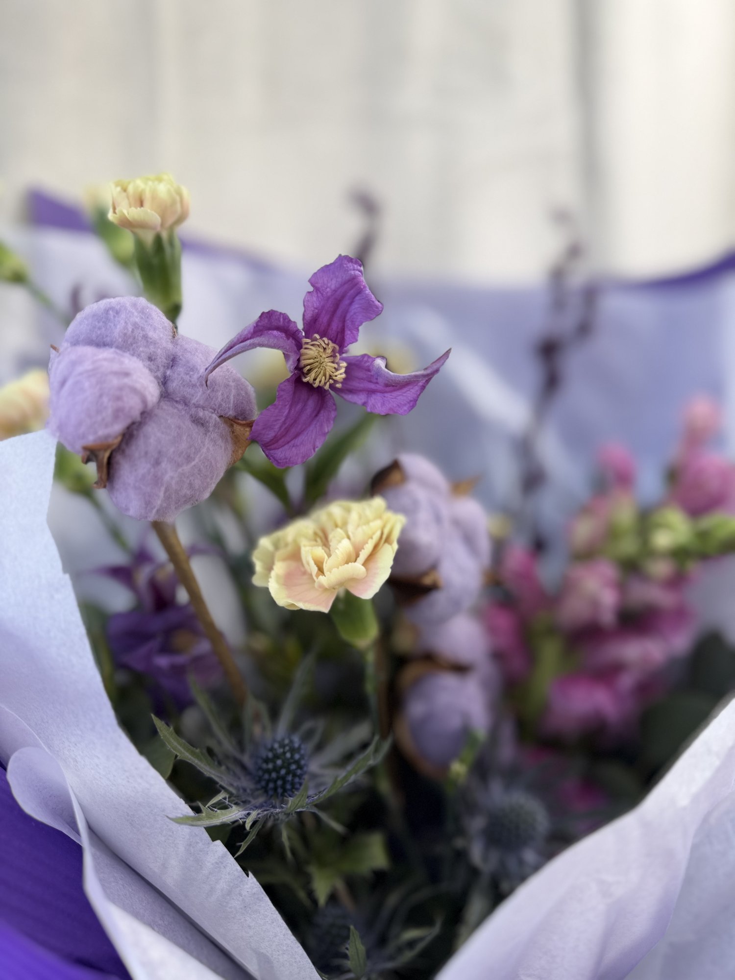 Violet Whisper - Imagine 3