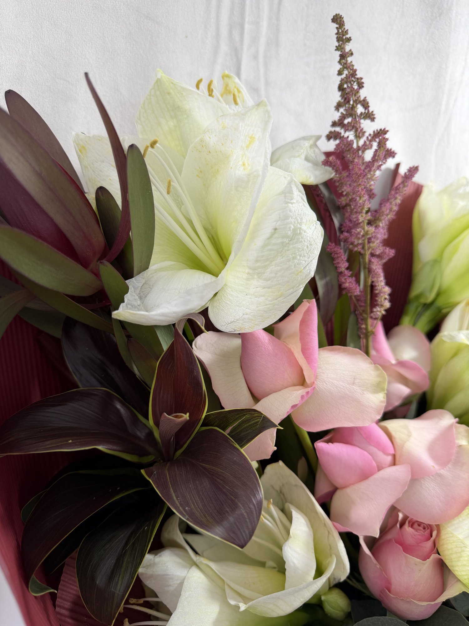 Soft Reverence - Imagine 4