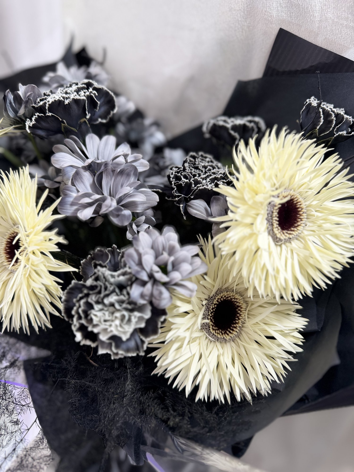 Noir Silencieux - Imagine 3