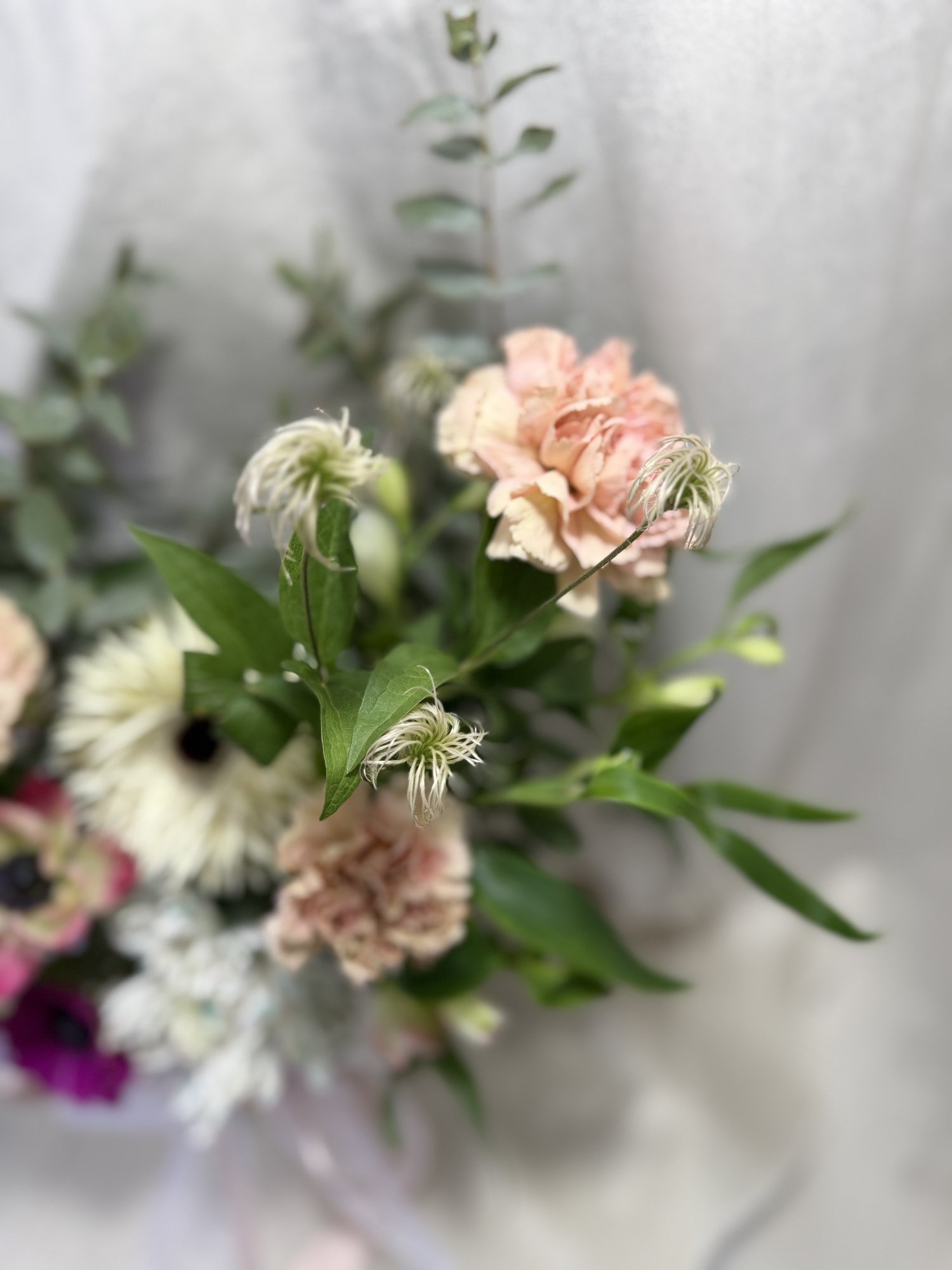 Lumière Douce - Imagine 3