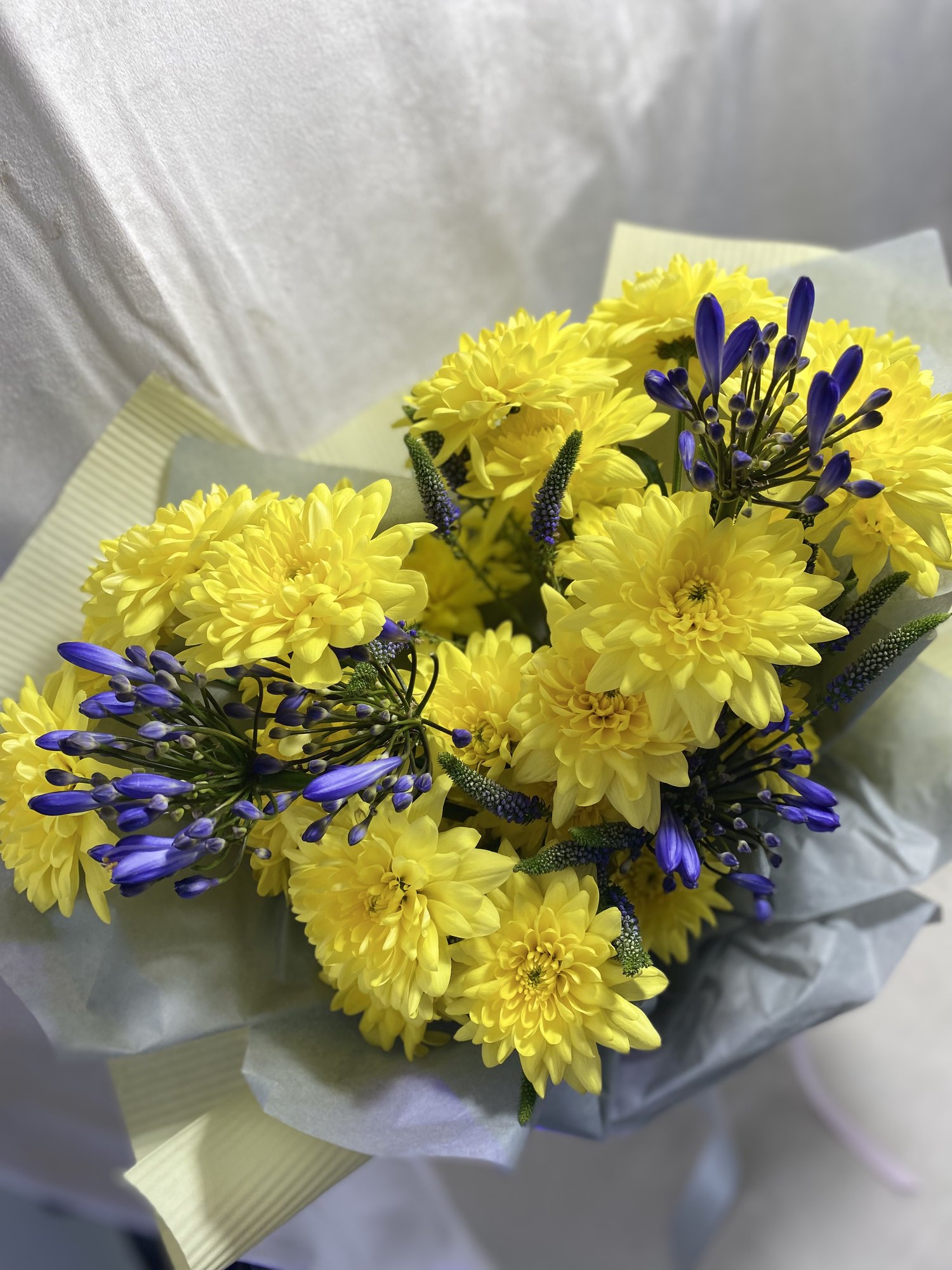 Soleil Calme - Imagine 2