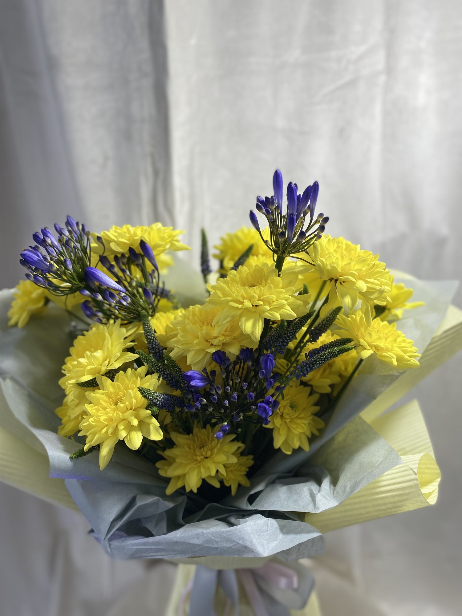 Soleil Calme - Imagine 4