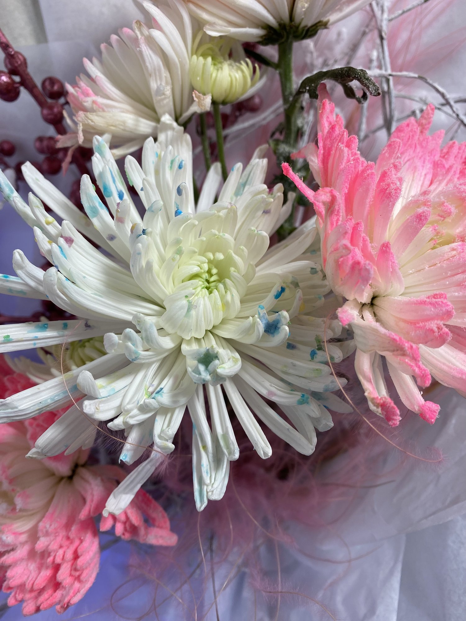 Rosée de Velours - Imagine 2