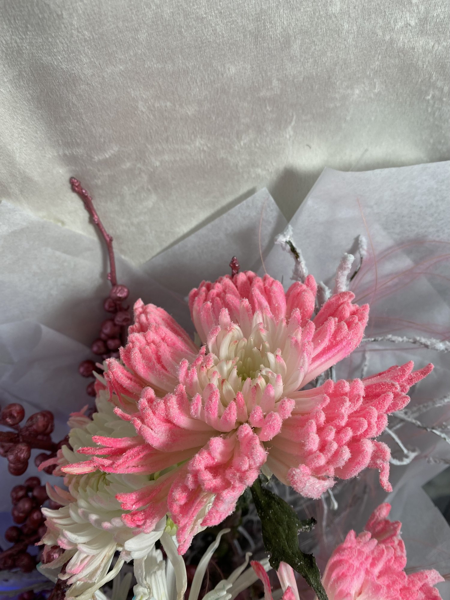 Rosée de Velours - Imagine 3