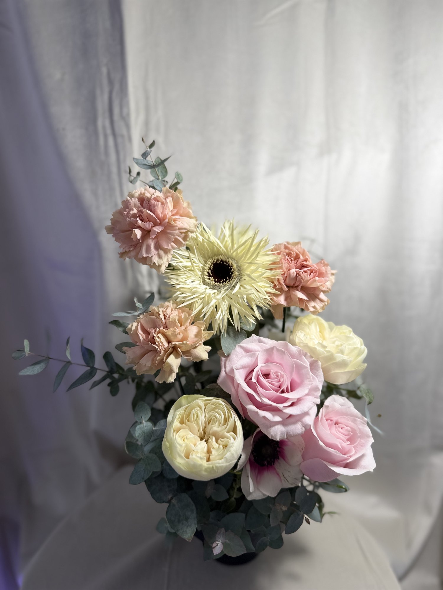 Blush Harmony - Imagine 2