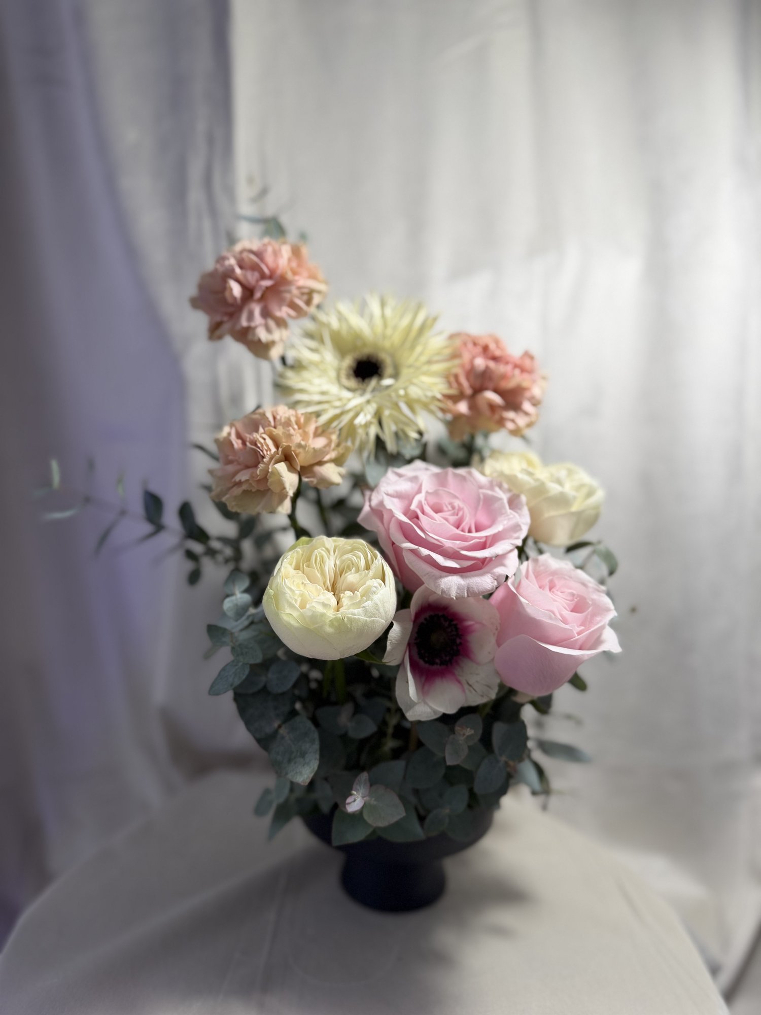 Blush Harmony - Imagine 3