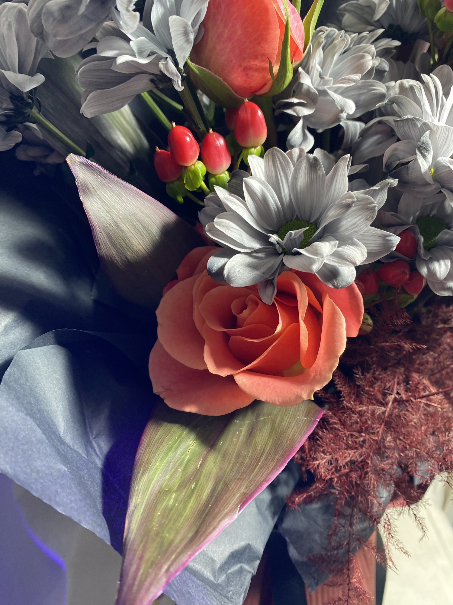 Rouge Obscur - Imagine 3