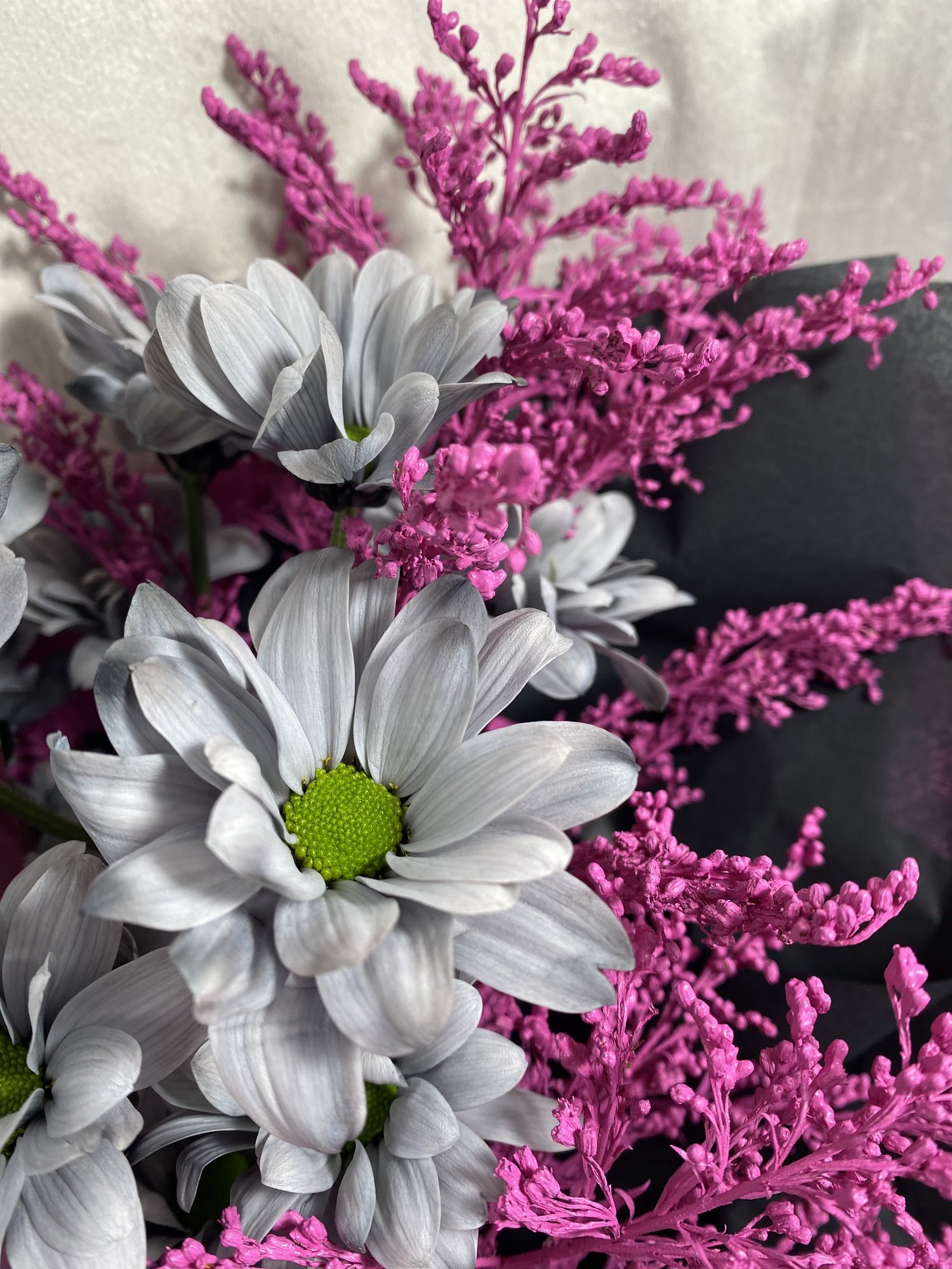 Fuchsia Contrast - Imagine 3