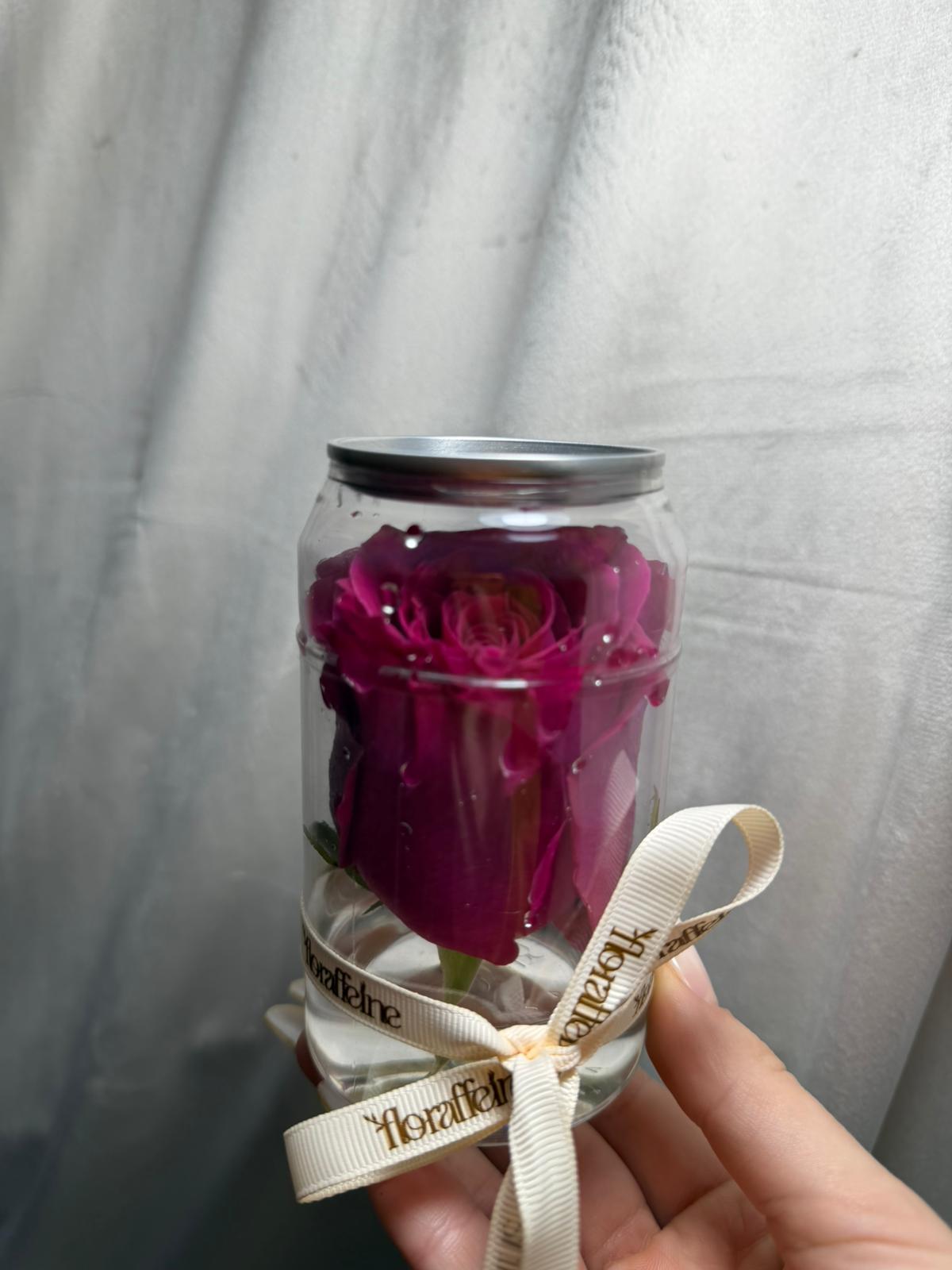 Floarea Ta Preferată, la Doză