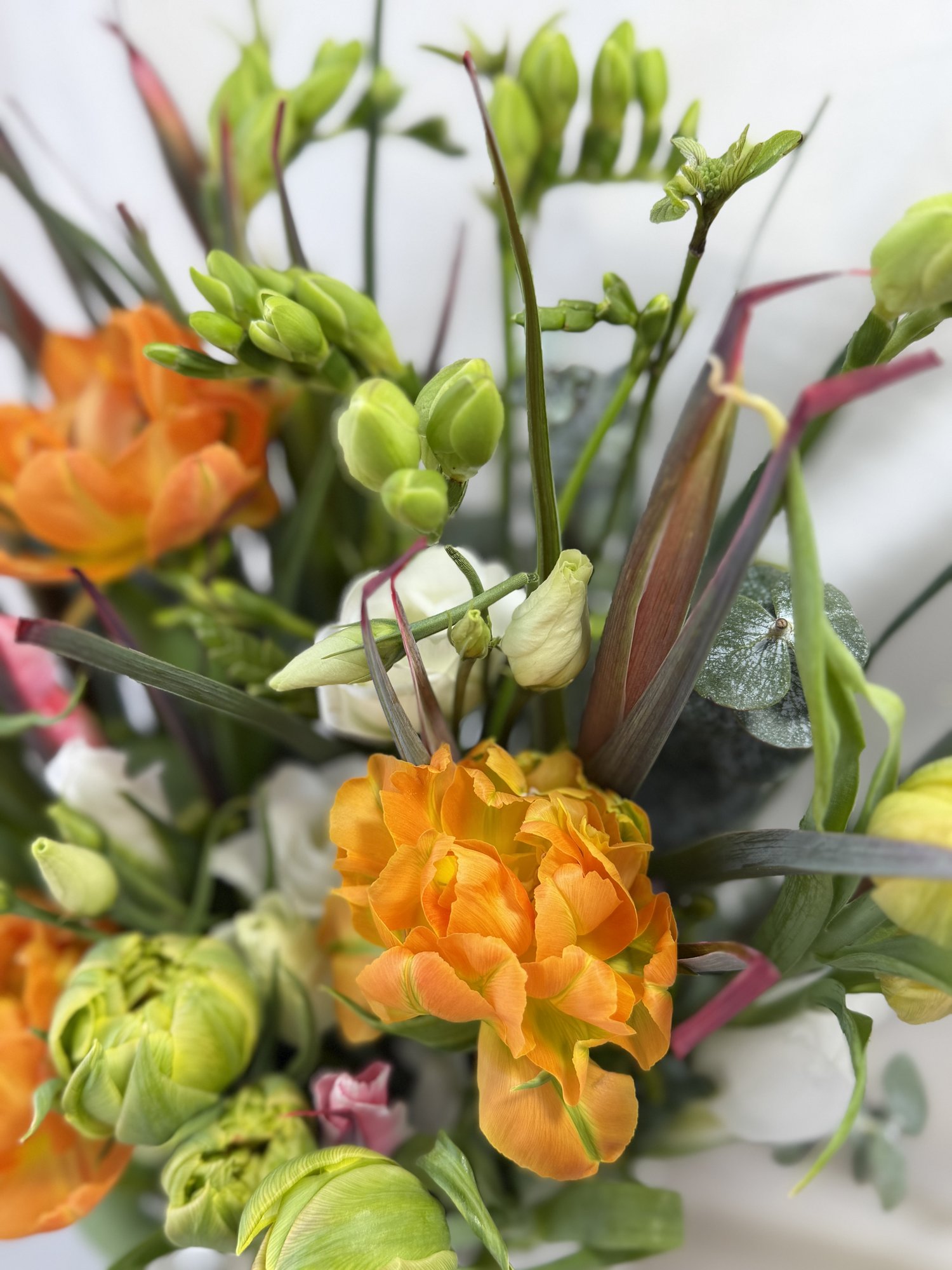 Amber Garden Symphony - Imagine 2