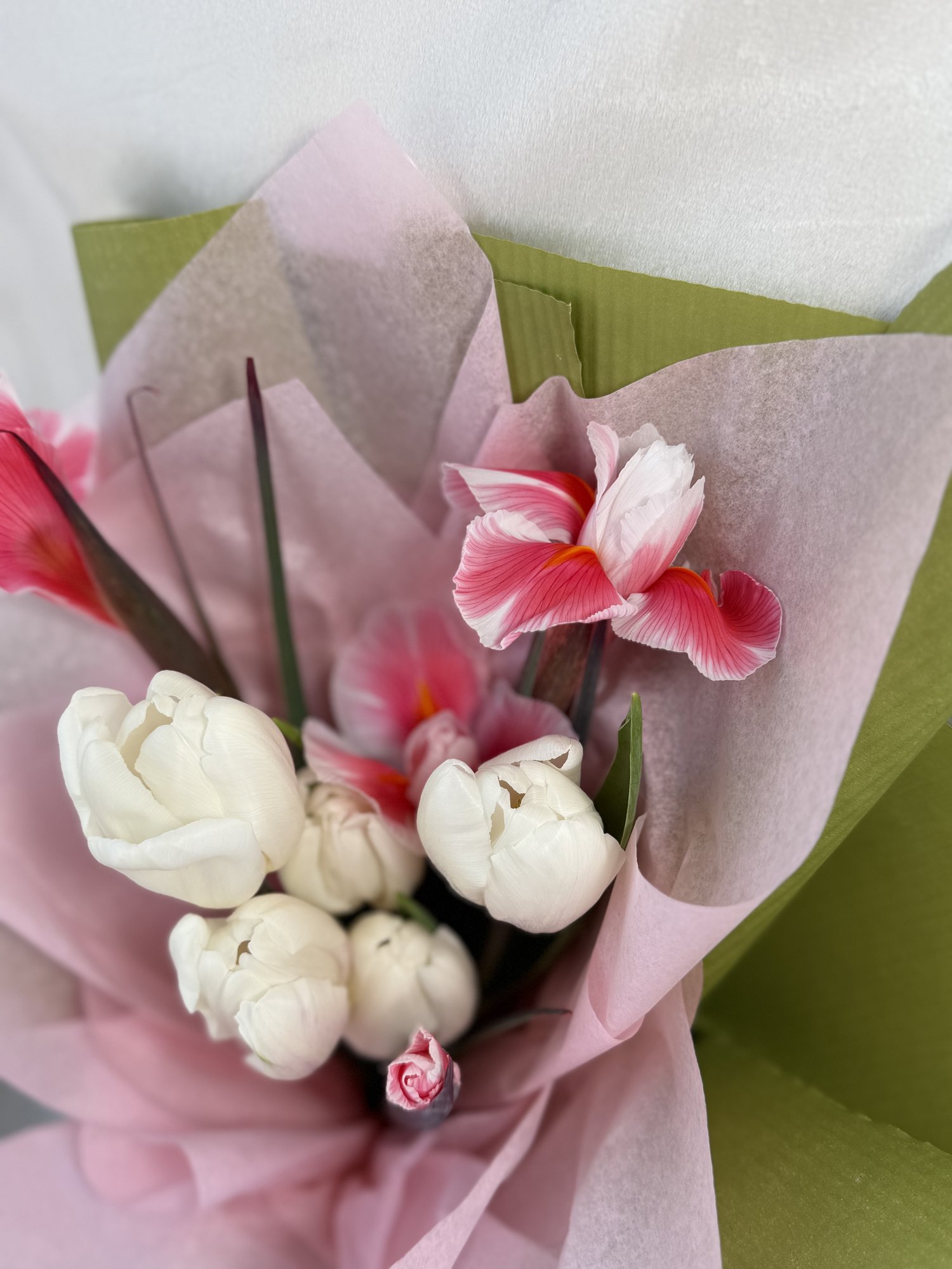 Blush Tulip Whisper - Imagine 3