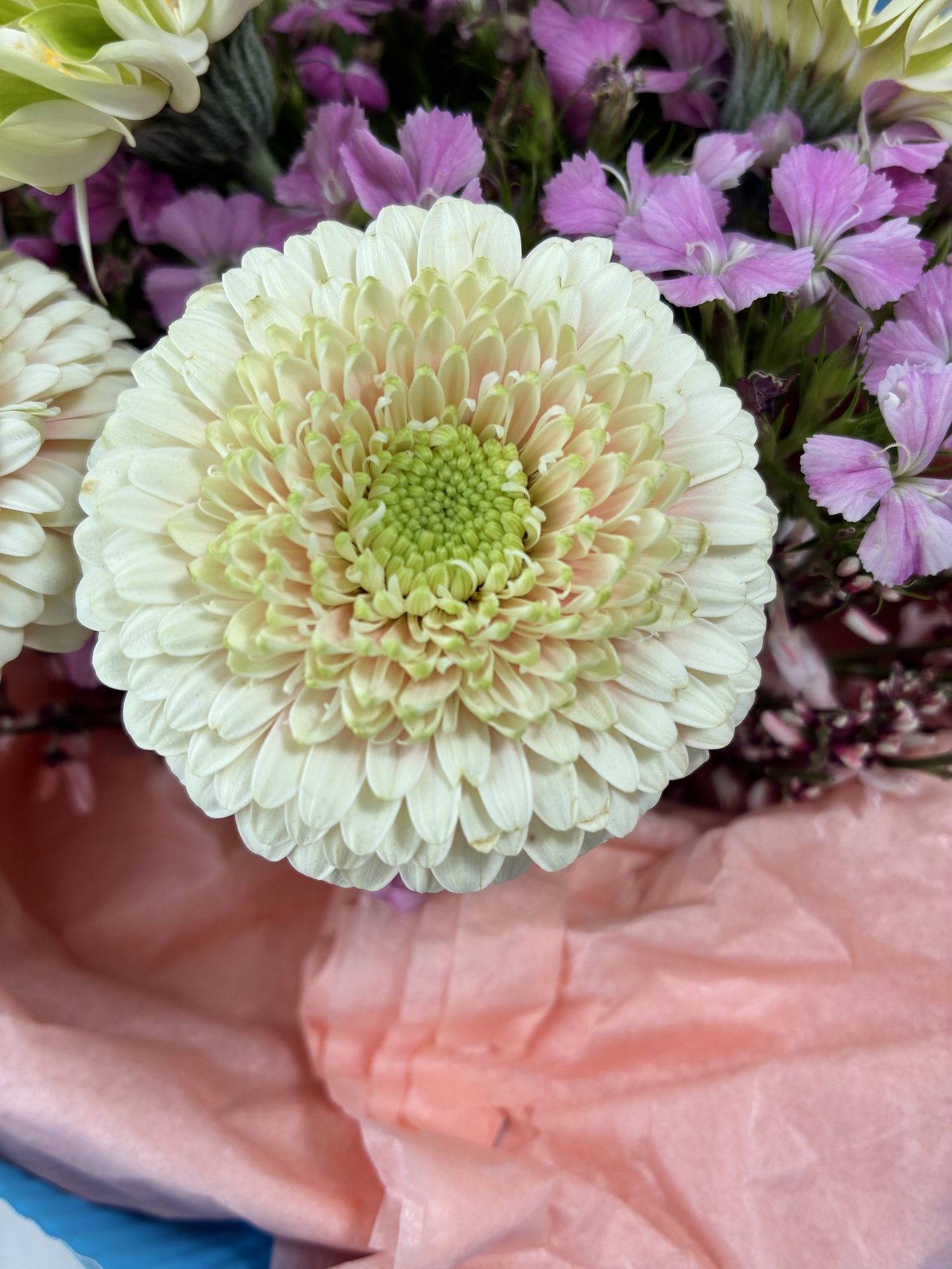 Spring Joy Bouquet - Imagine 2