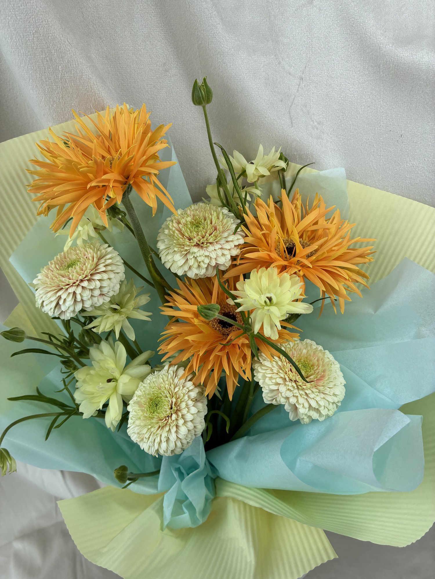 Golden Bloom Energy - Imagine 2