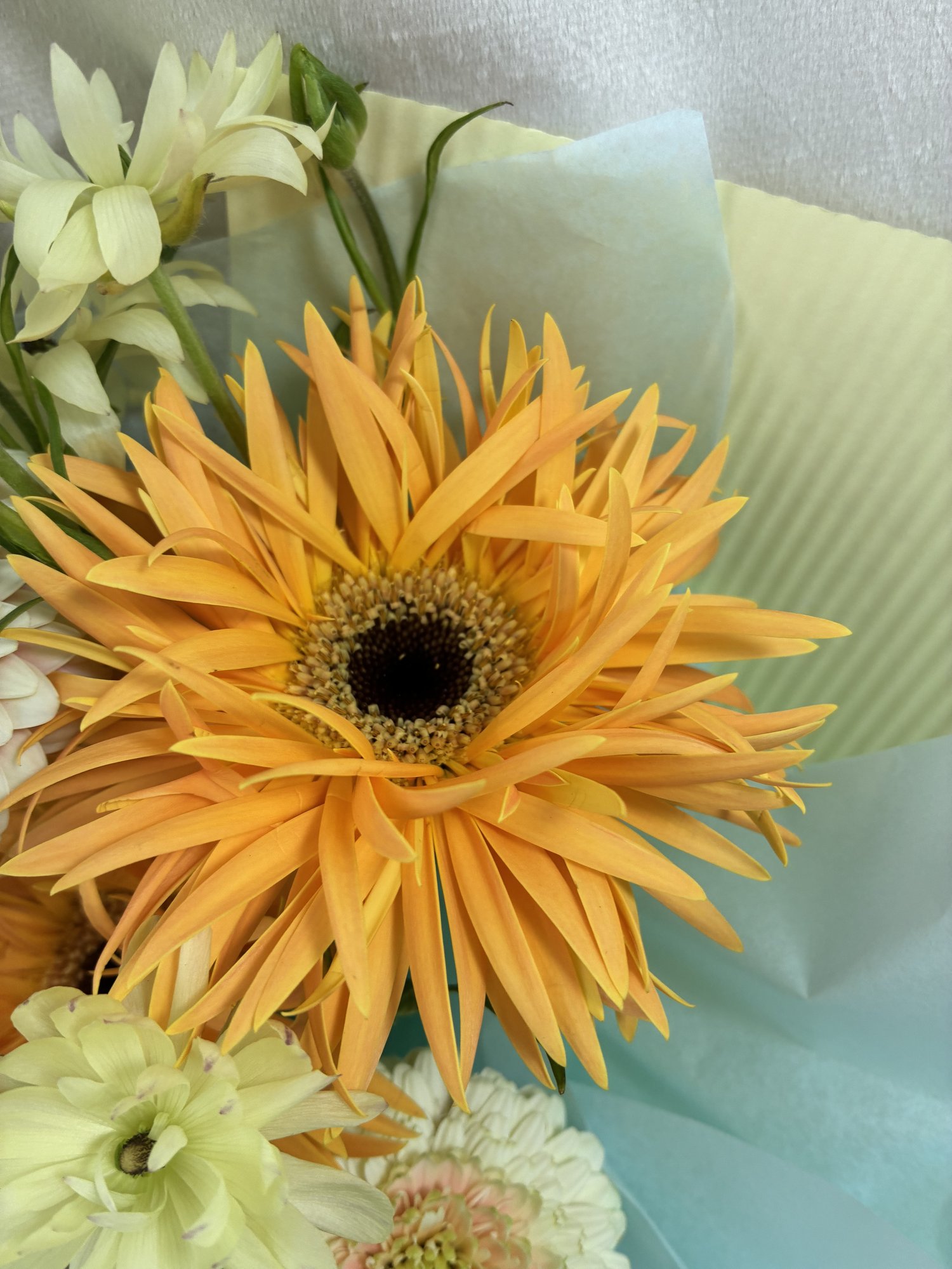 Golden Bloom Energy - Imagine 3