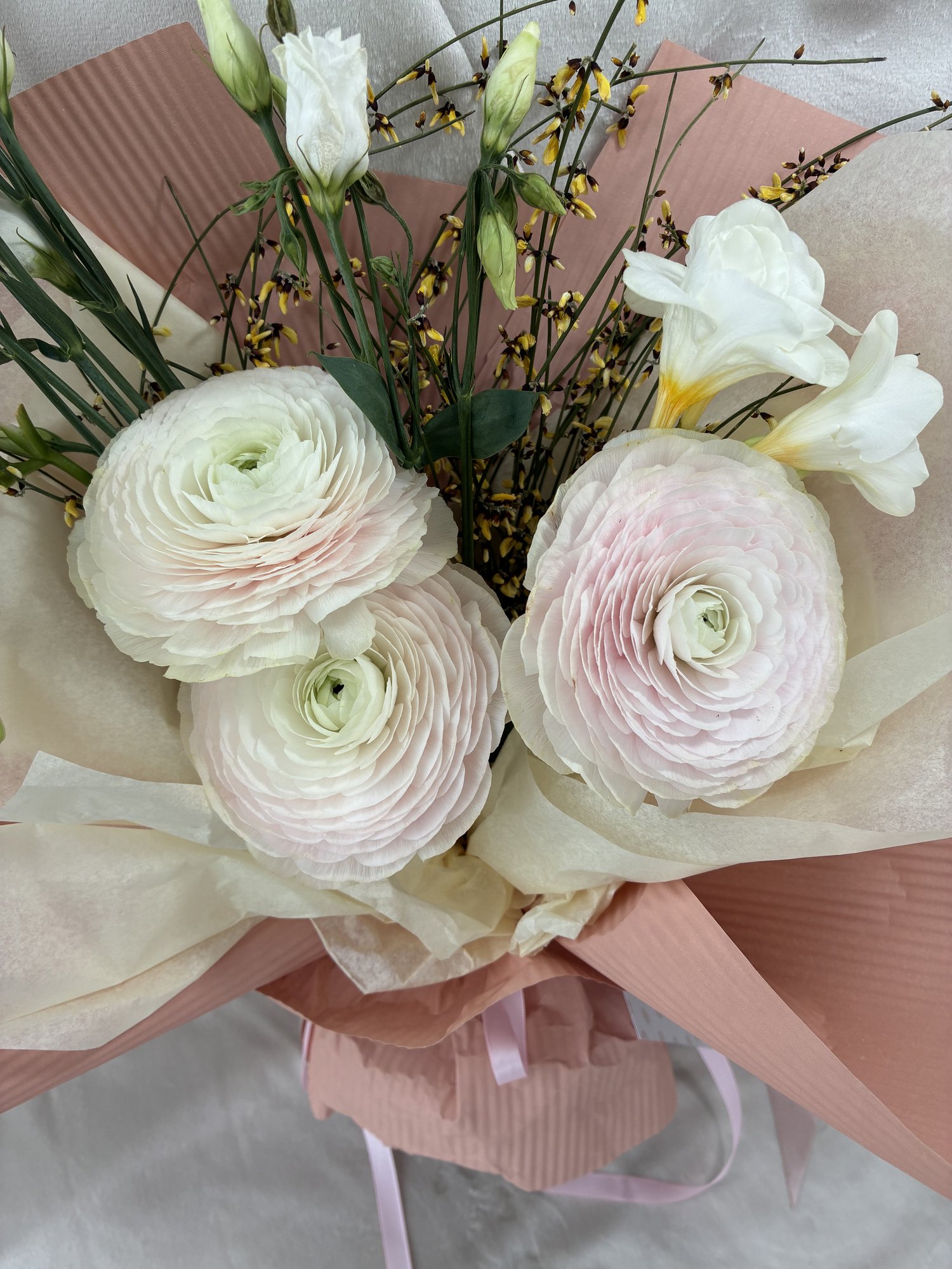 Blush Ivory Elegance - Imagine 2