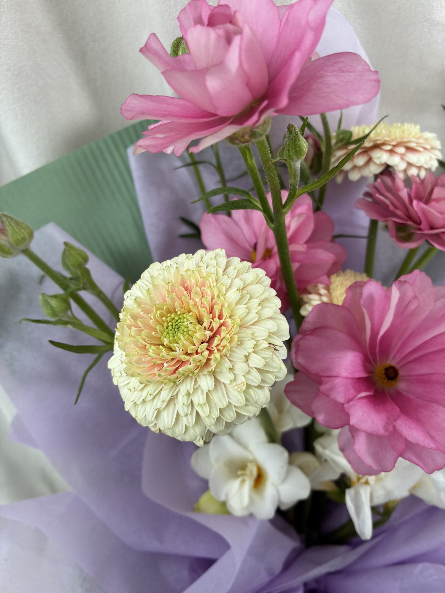 Pink Garden Delight - Imagine 3