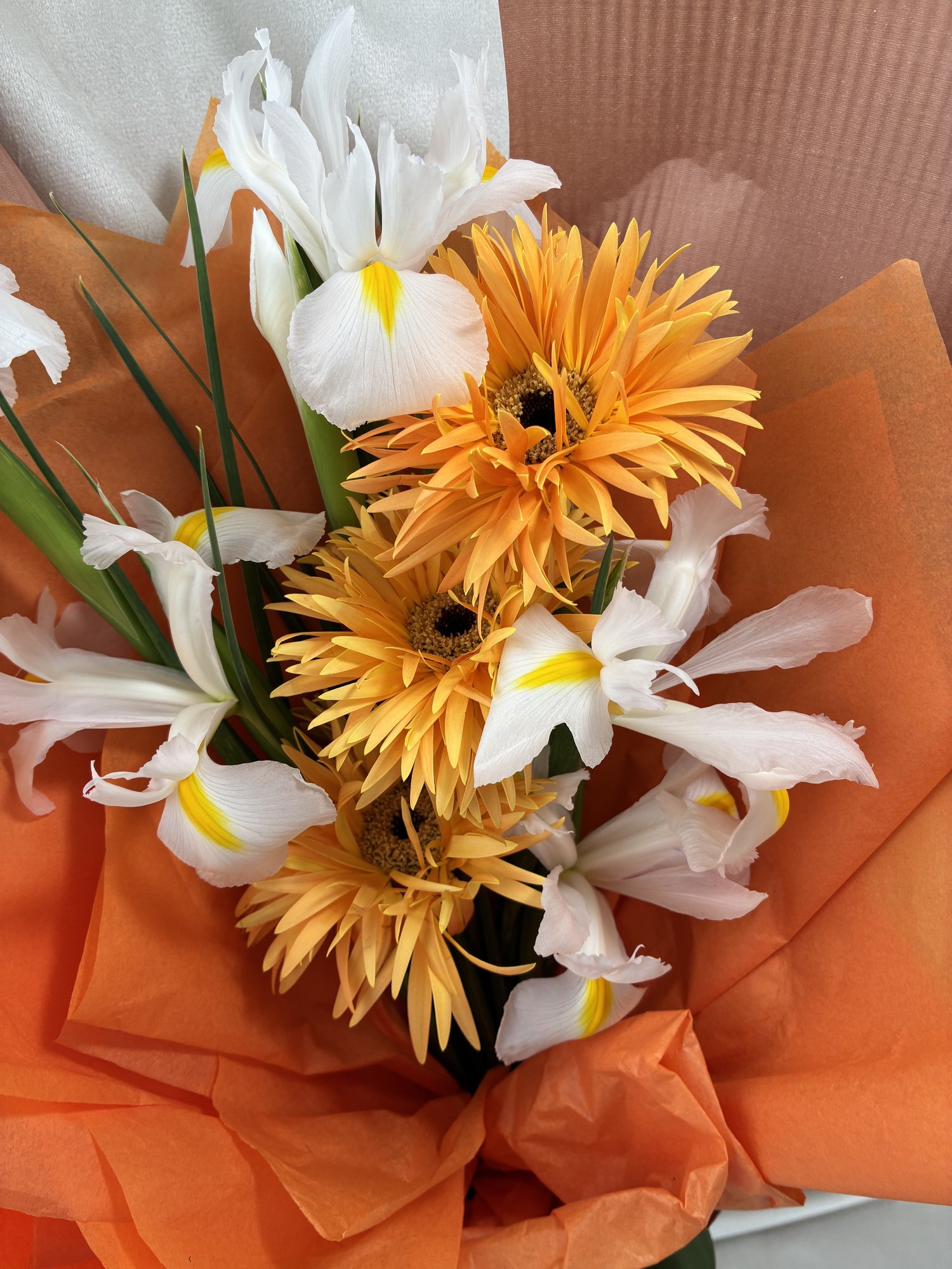 Sunset Iris Glow - Imagine 2