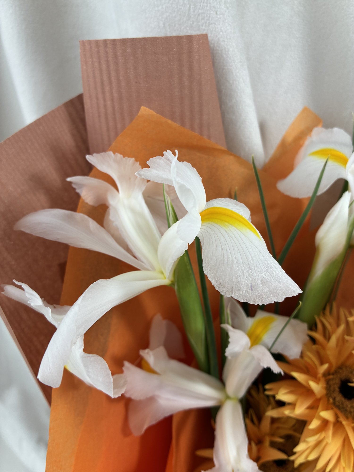 Sunset Iris Glow - Imagine 3