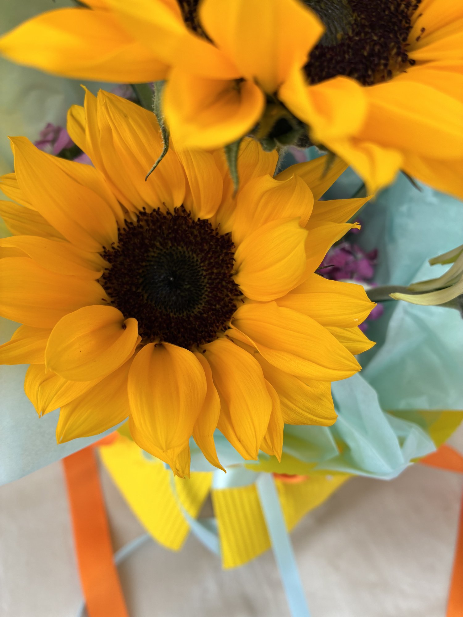 Sunny Bloom Burst - Imagine 2