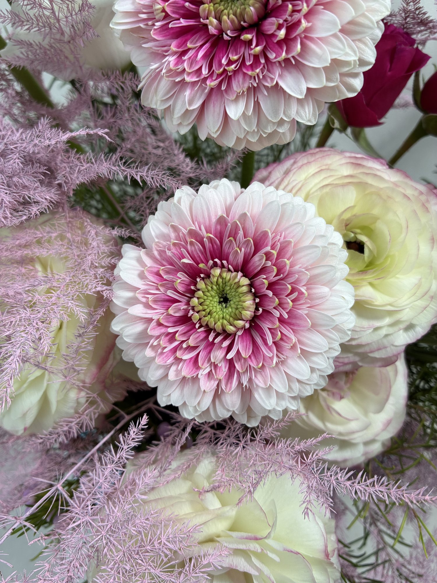Aranjament Floral în Ceașcă Albastră – Ranunculus, Gerbera și Trandafiri | Cadou Elegant Premium - Imagine 3