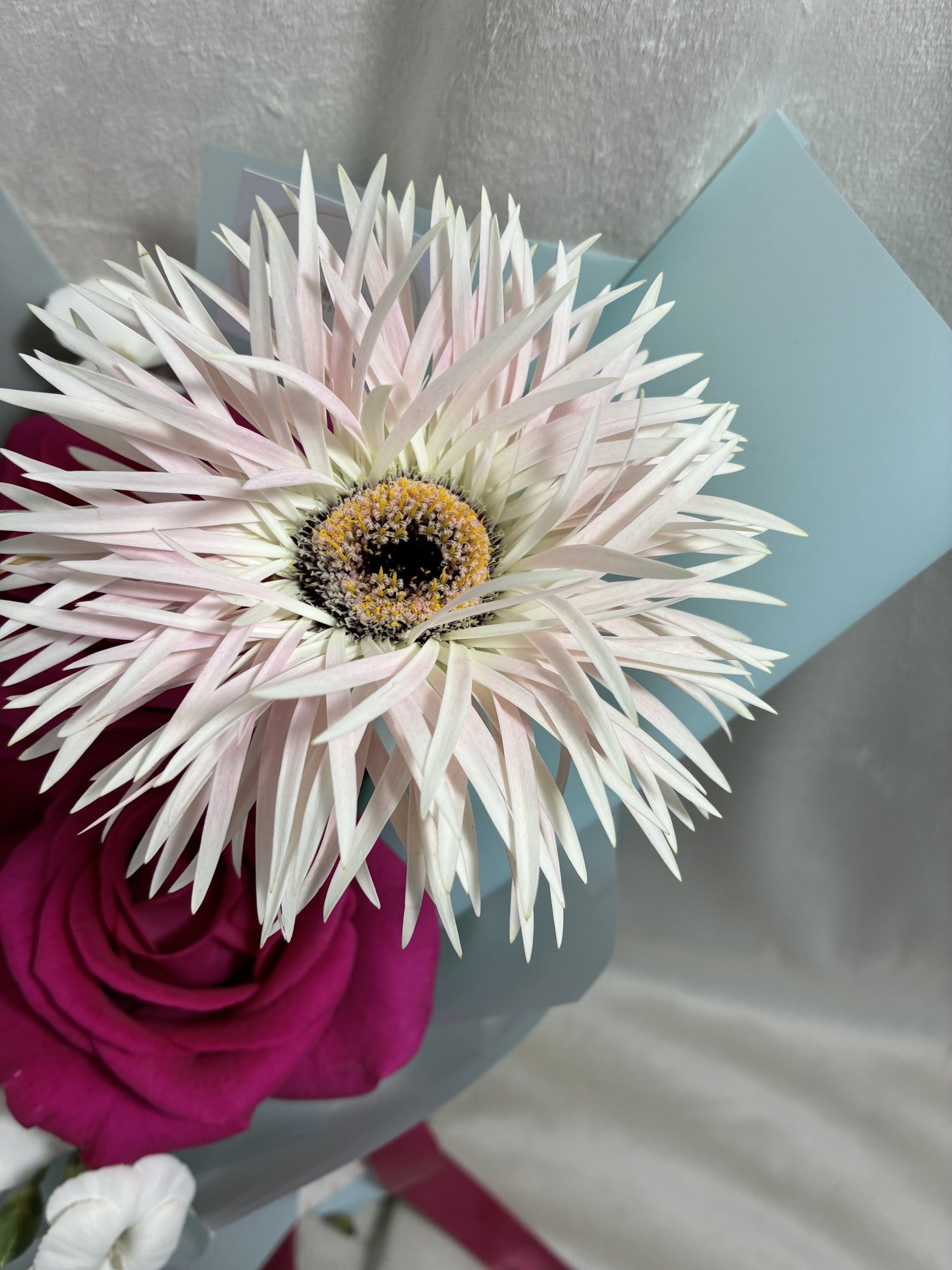 Blush Elegance – Buchet cu trandafiri roz și gerbera premium - Imagine 4