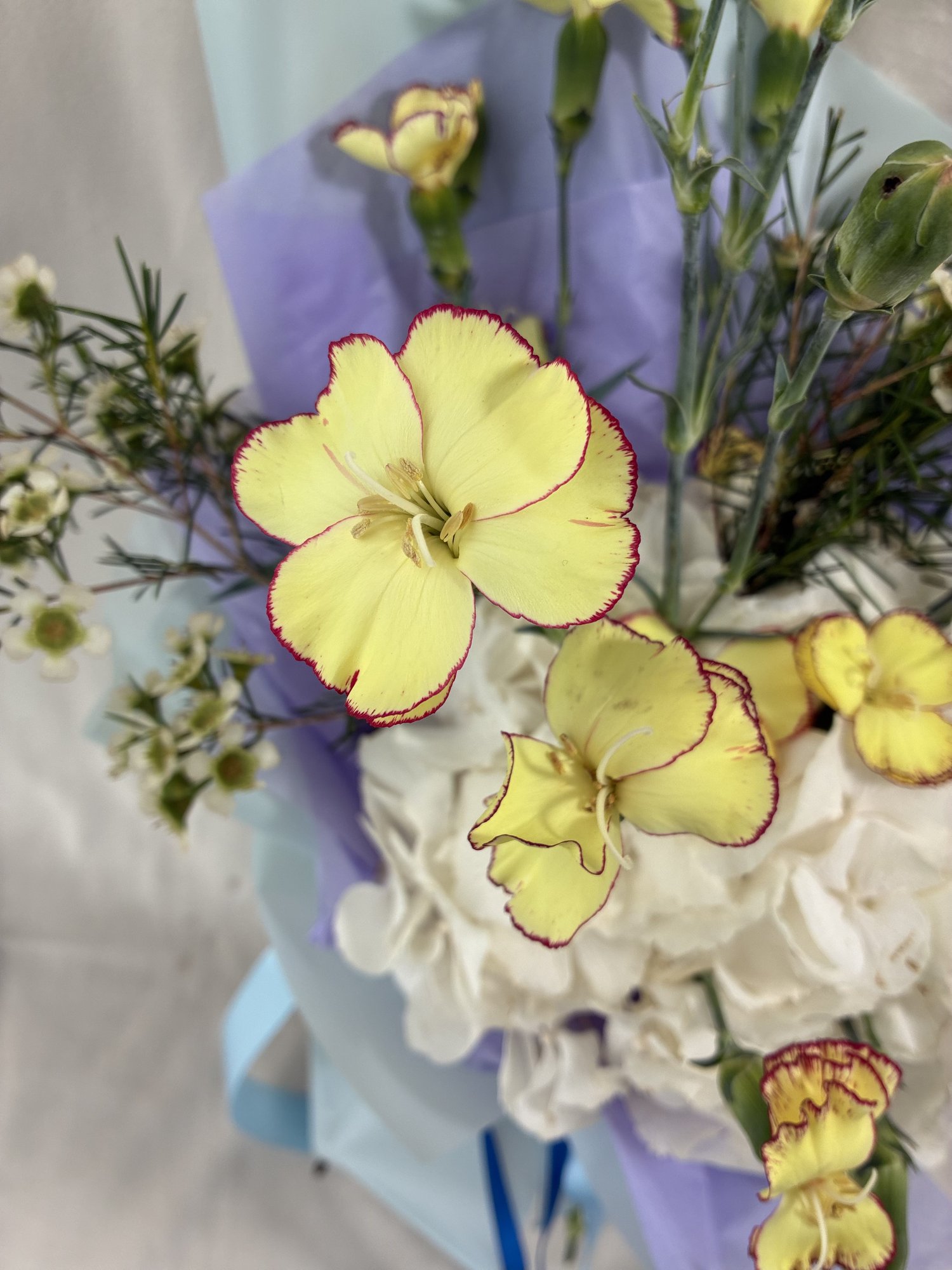 Butterfly Bloom – Buchet delicat cu hortensie și accente pastel - Imagine 3