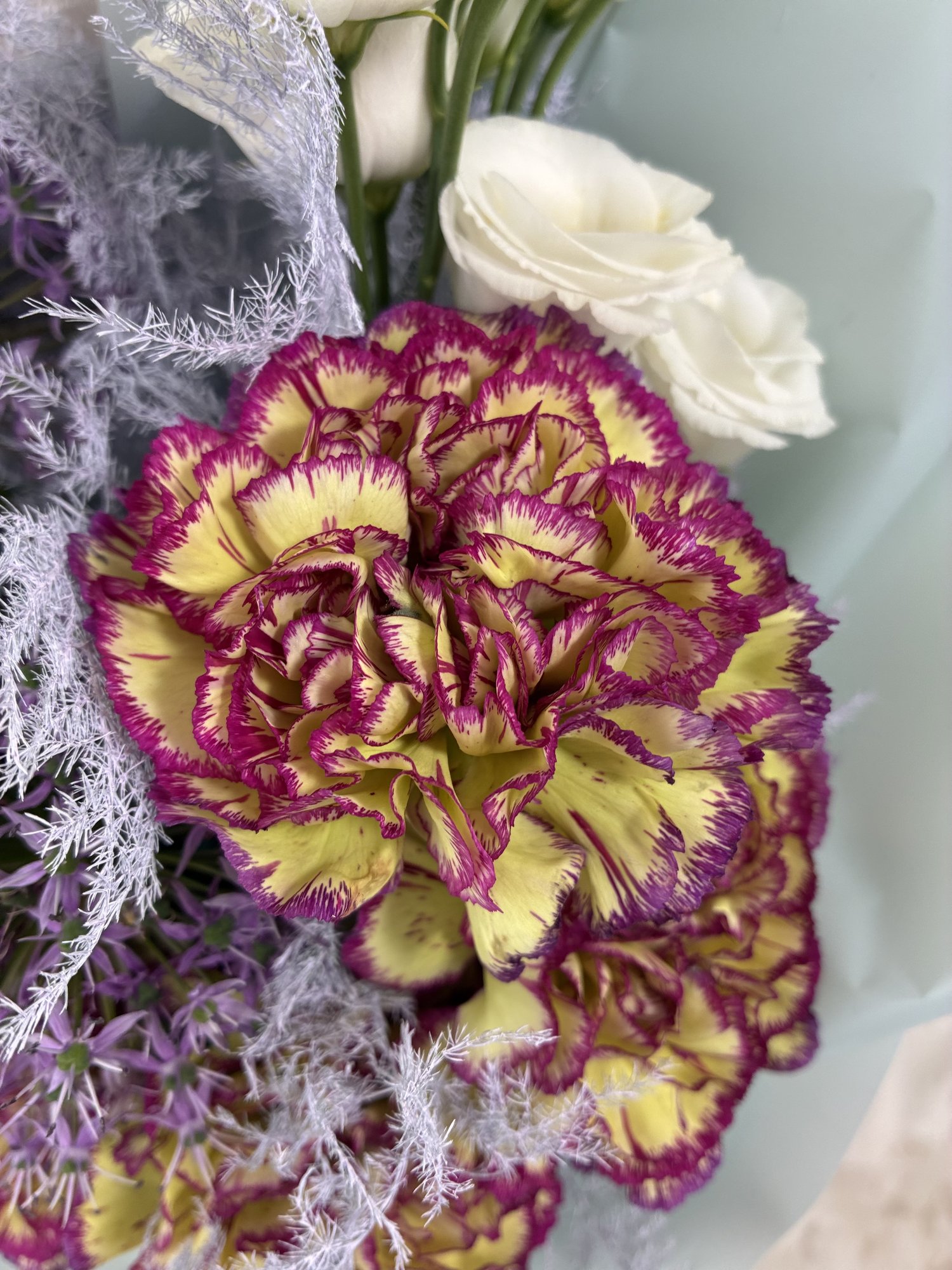 Lavender Glow – Buchet pastel cu garoafe premium și allium mov - Imagine 2