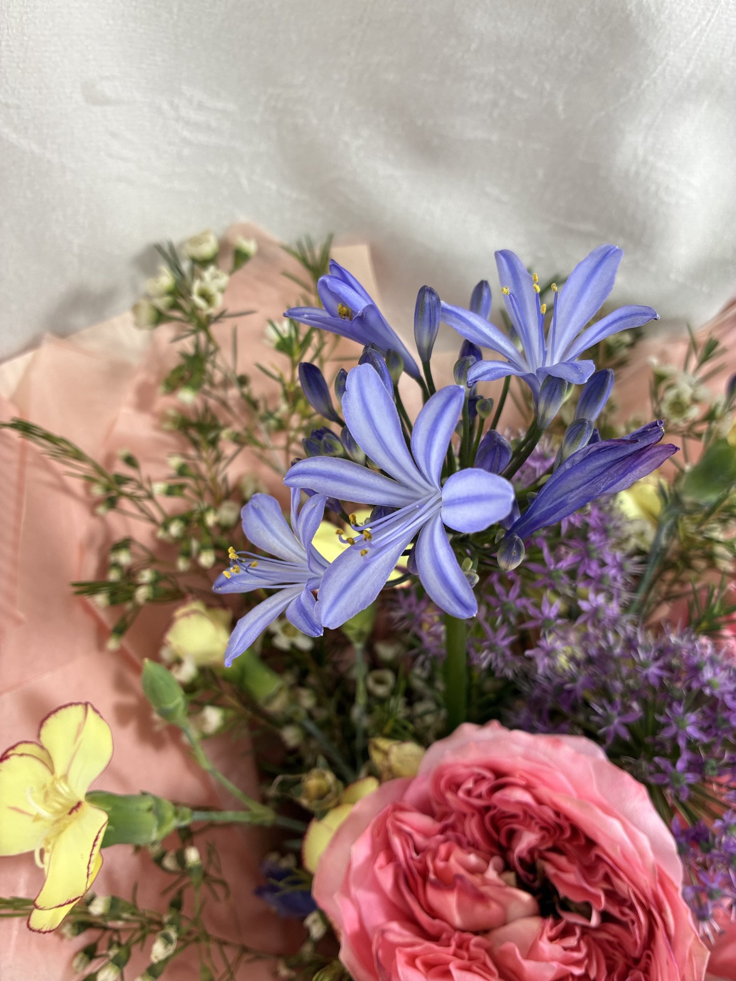 Rosé Poem – Buchet pastel cu trandafiri roz, allium și accente florale delicate - Imagine 3