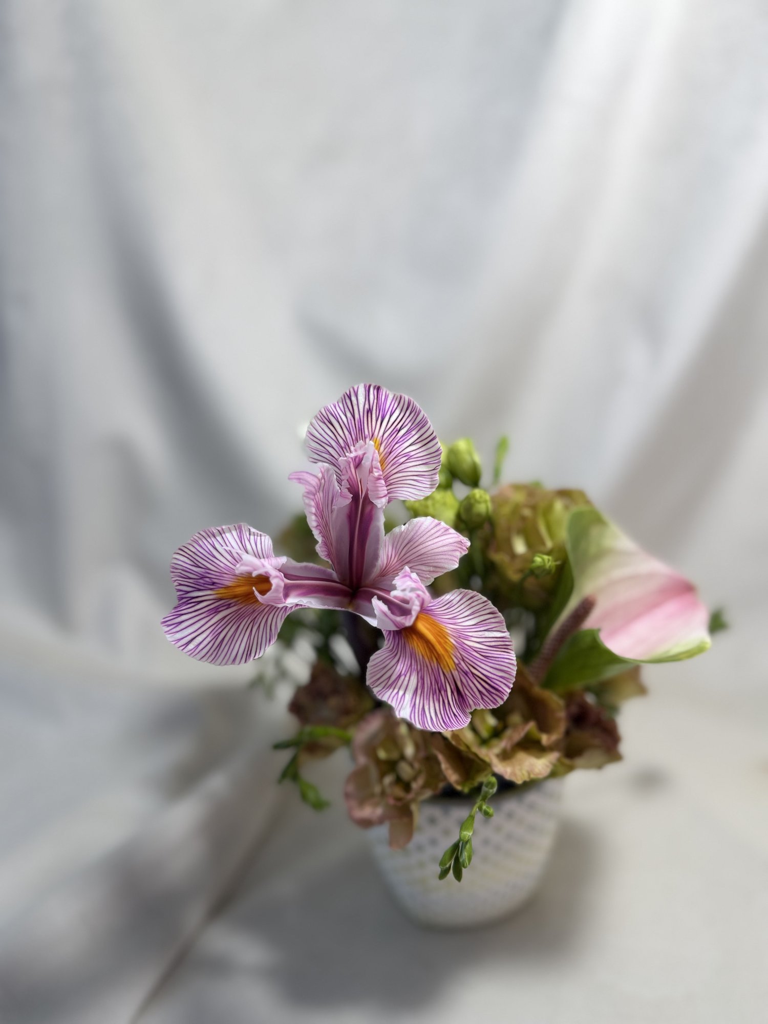 Blush Whisper – Aranjament floral delicat cu iris roz și anthurium pastel - Imagine 2