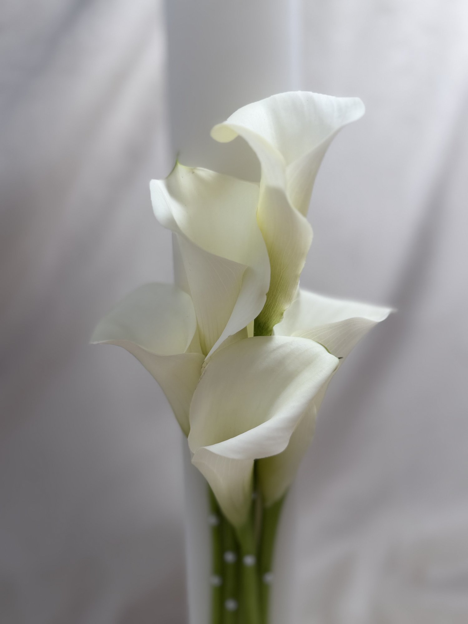 Pure Éternelle – Lumânare de cununie minimalistă cu cale albe - Imagine 2