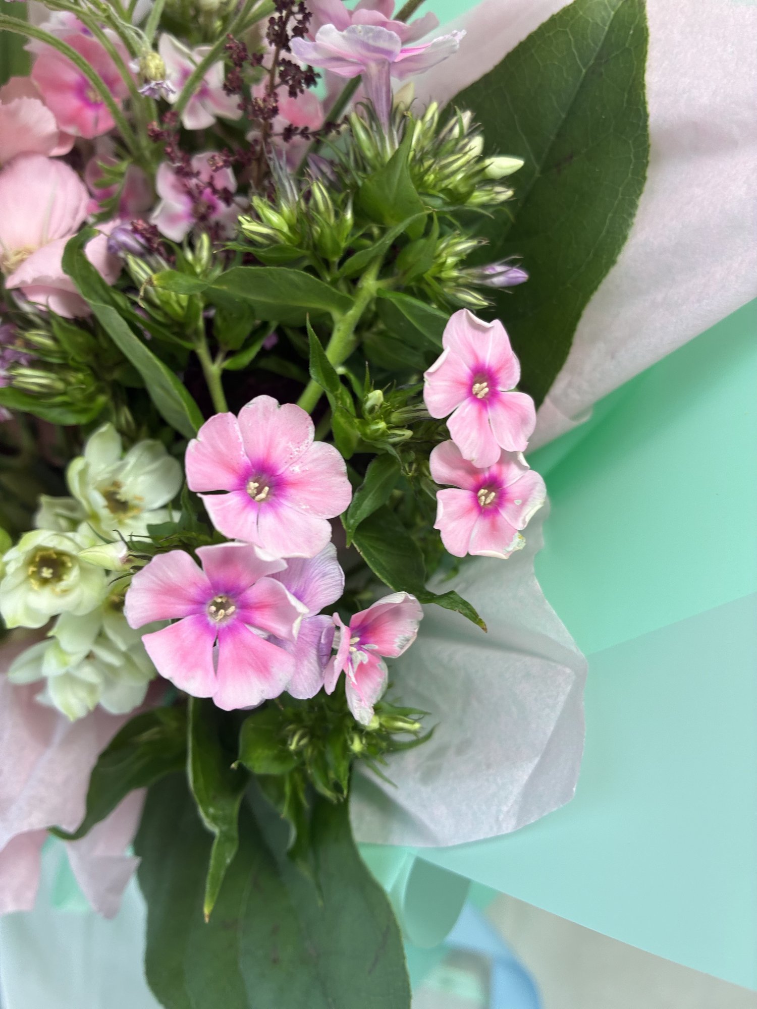 Mint Éclat – Buchet premium cu dalii albe, crin roz și ornithogalum - Imagine 4
