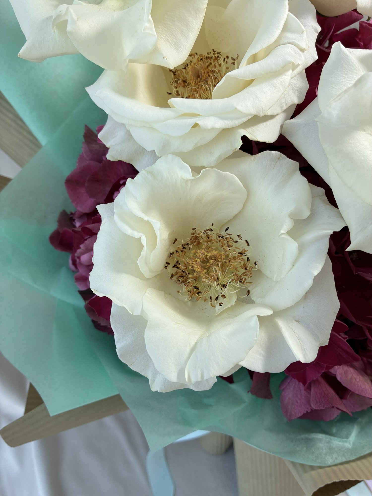 Ivory Passion – Buchet Elegant cu Trandafiri Albi și Hortensie Burgundy - Imagine 3