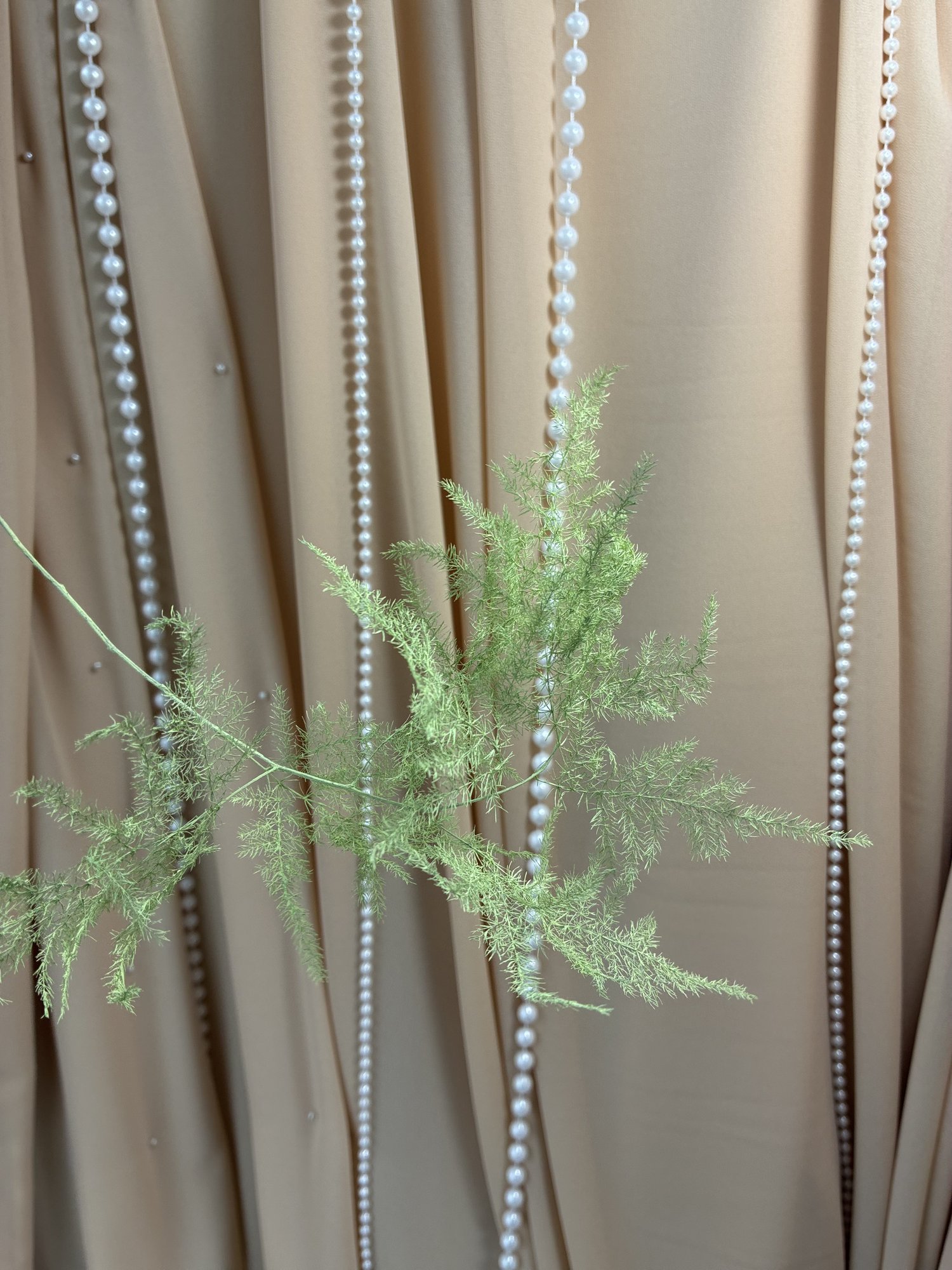 Asparagus verde deschis