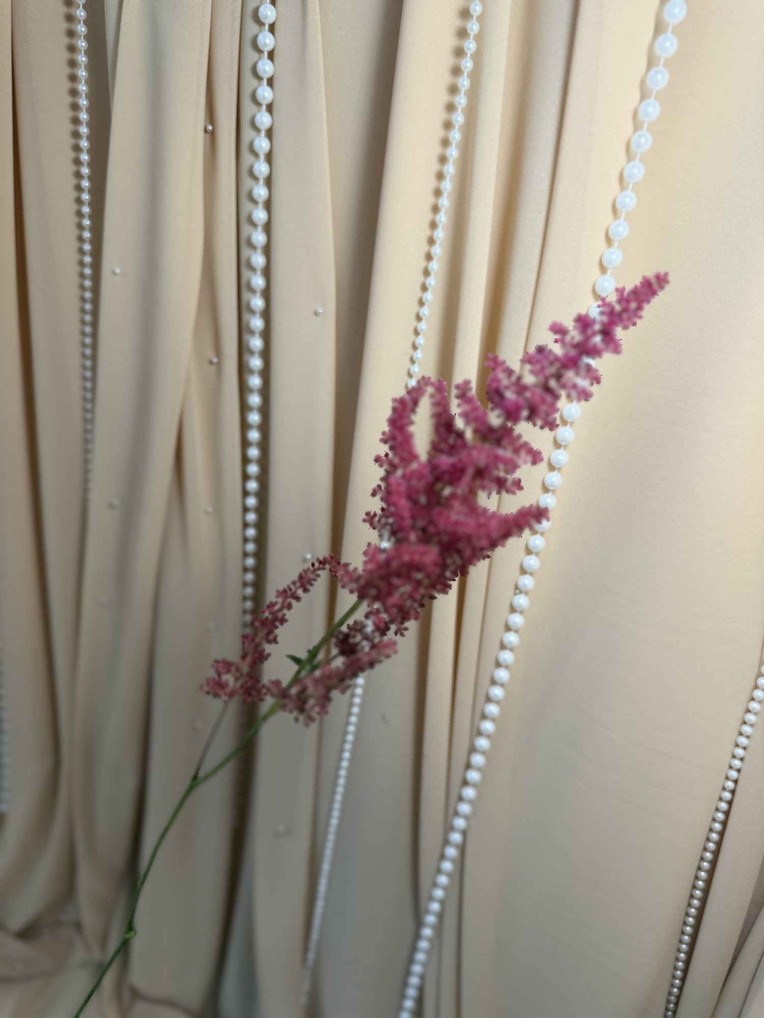 Astilbe roz