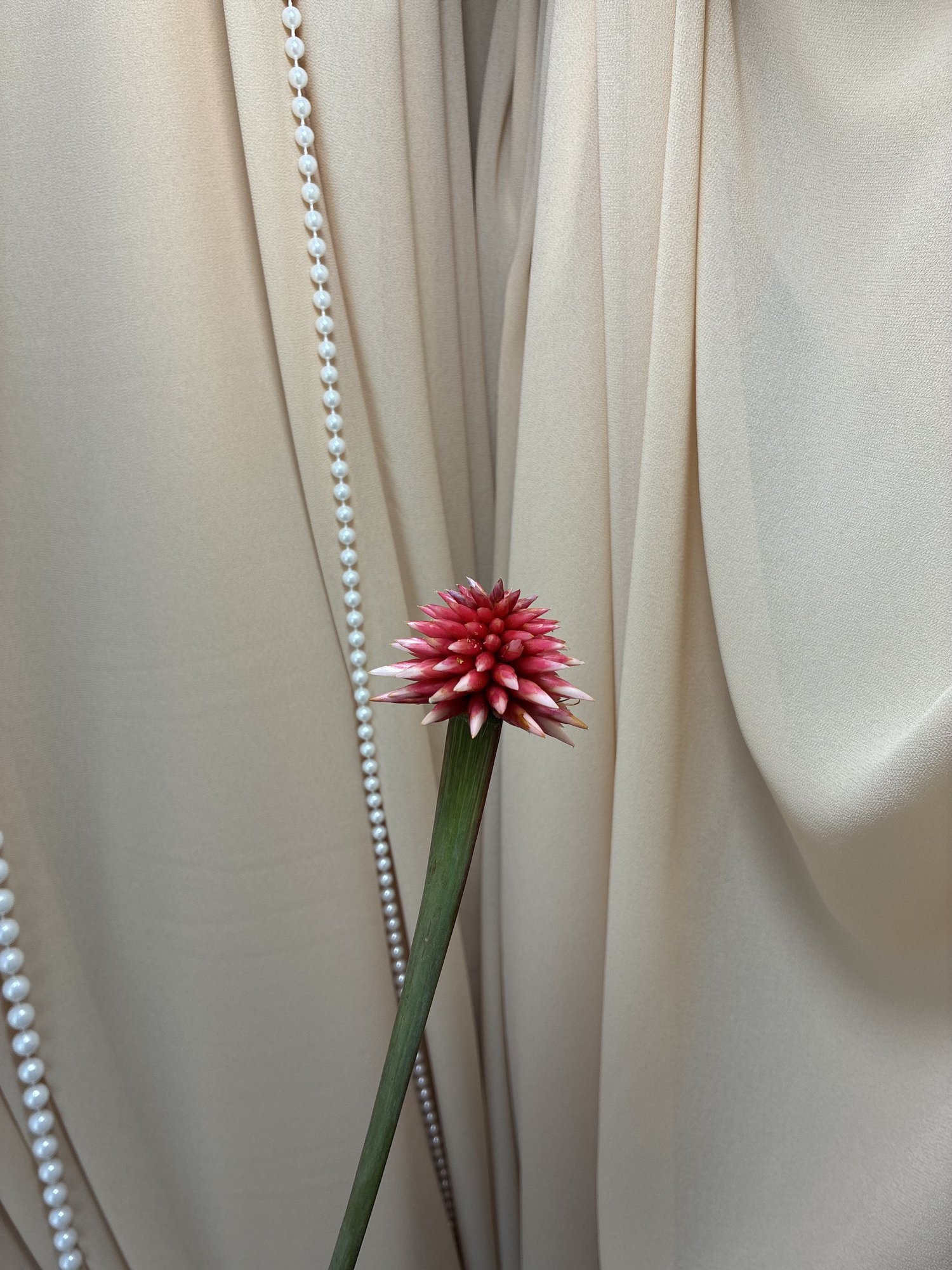 Inrida Flower Winter