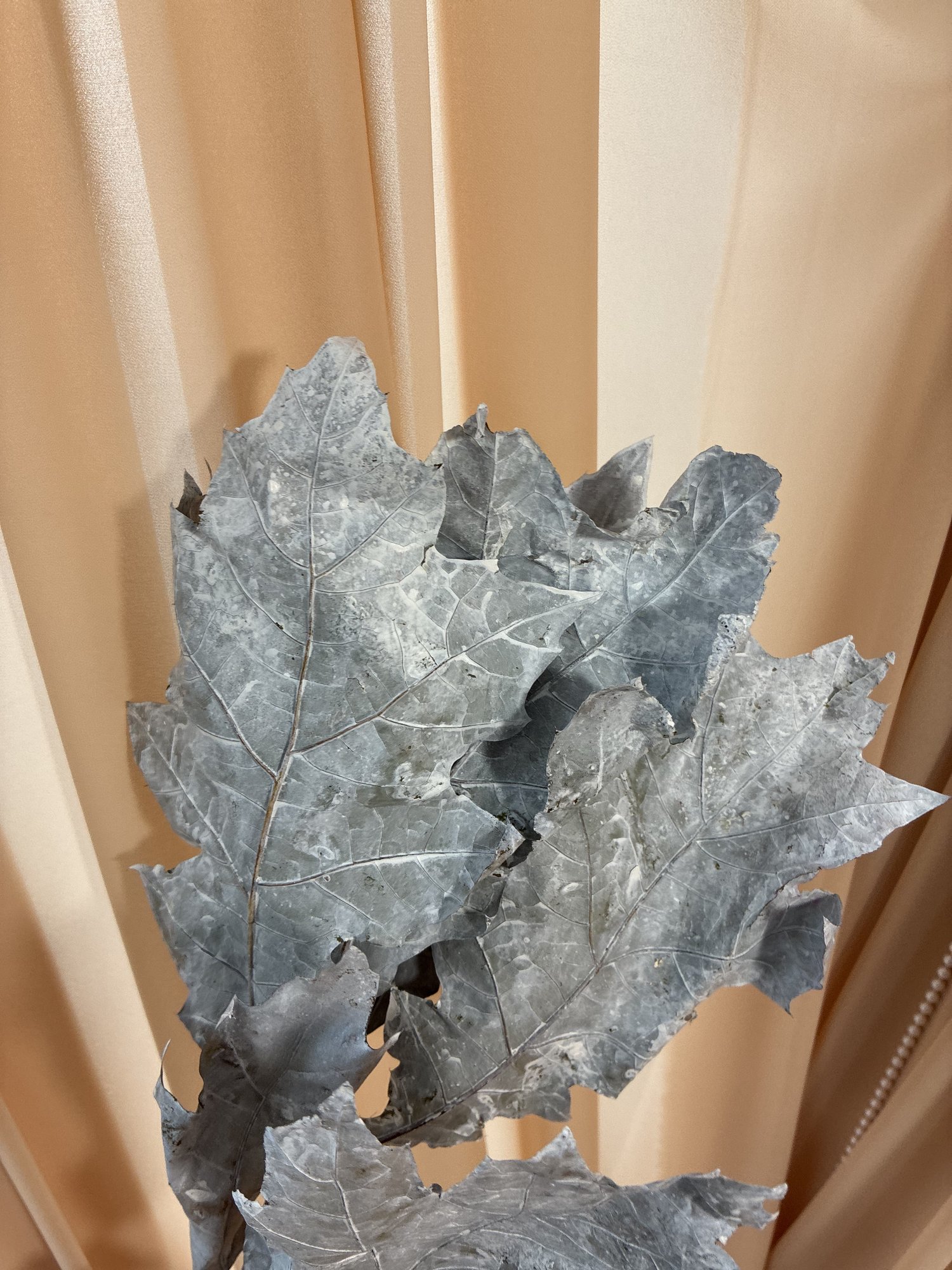 Frunze decorative argintii