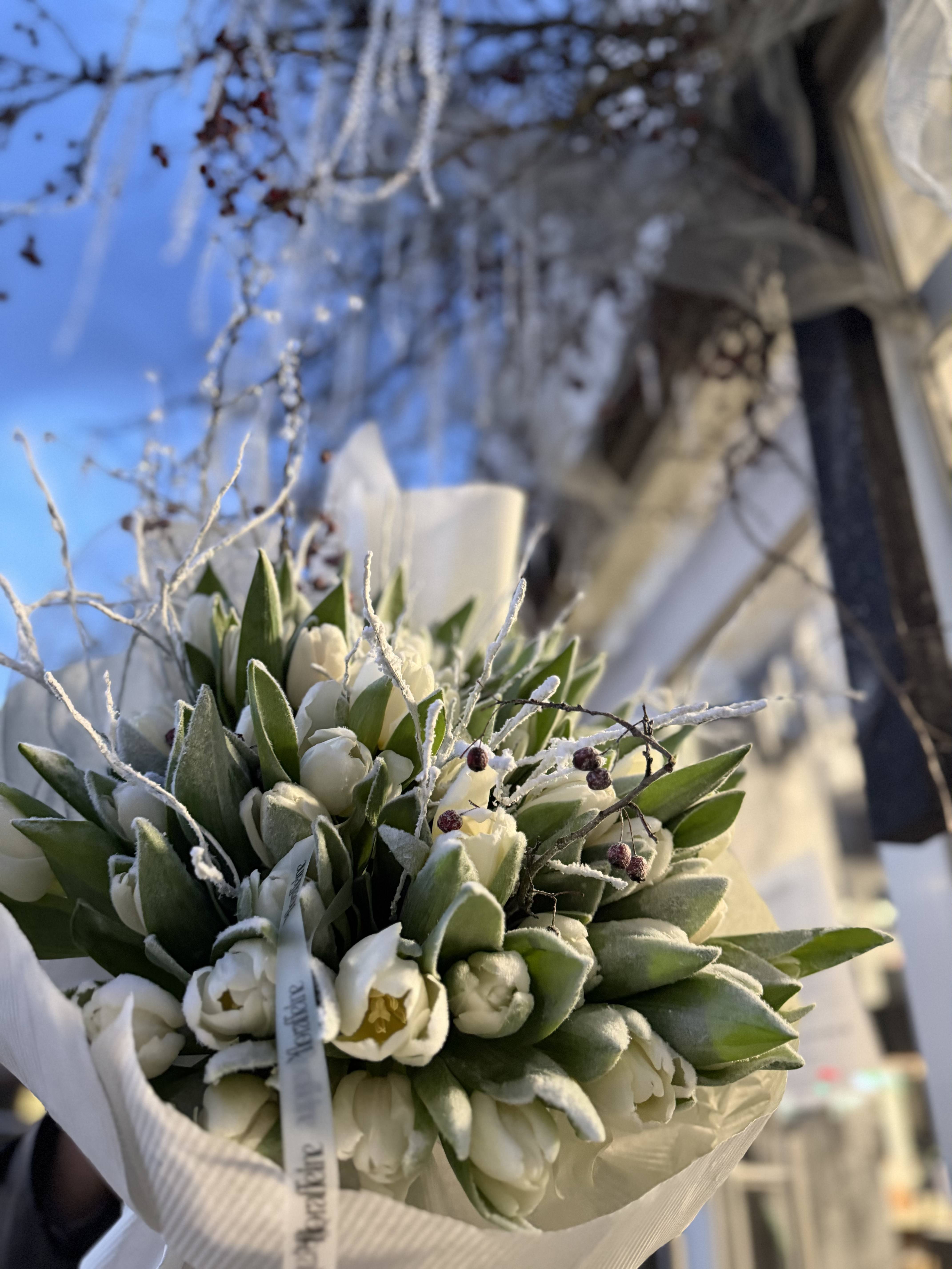 Frosted Tulip Couture - Imagine 2