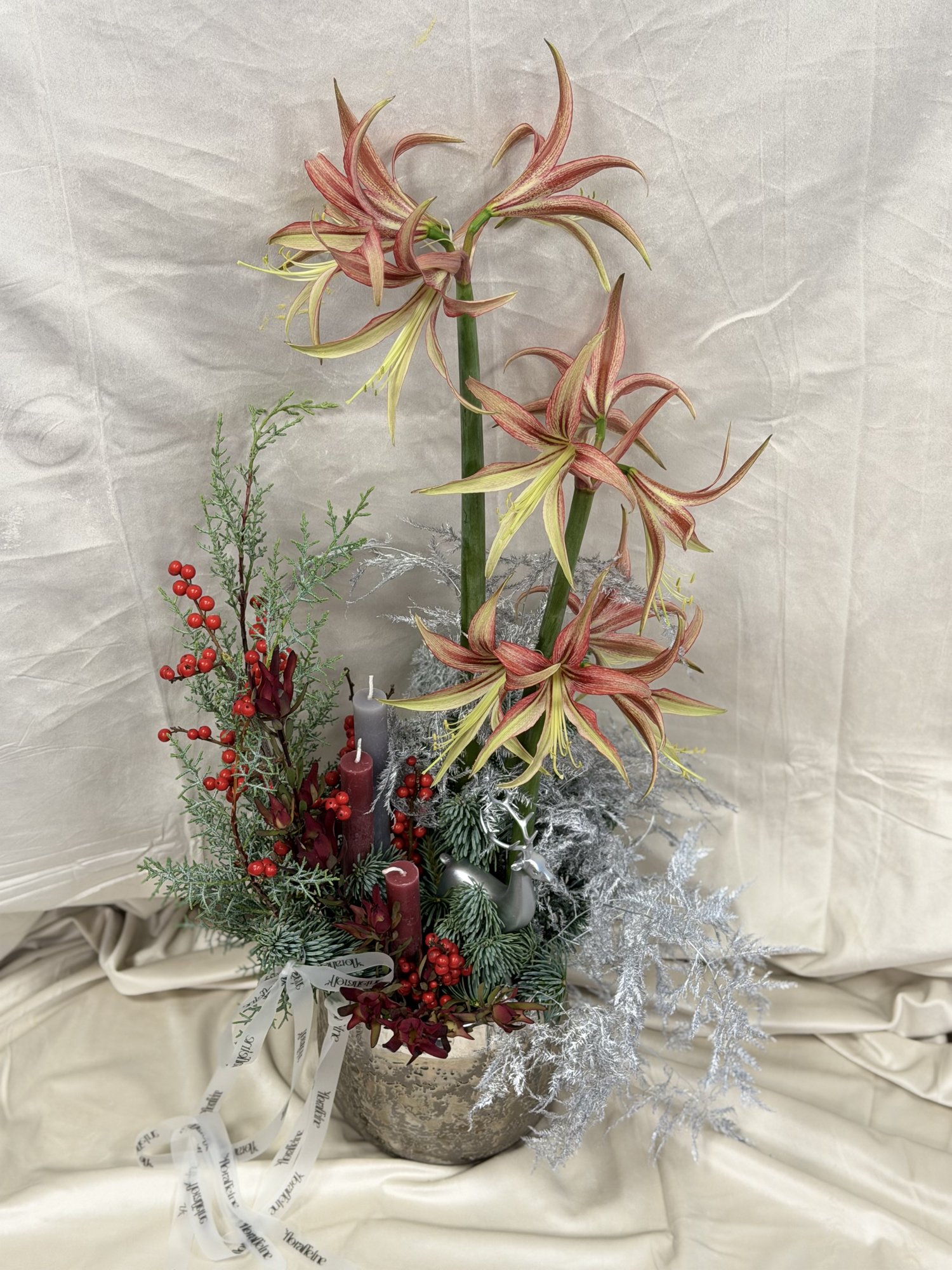 Tango de Iarna – Aranjament Couture