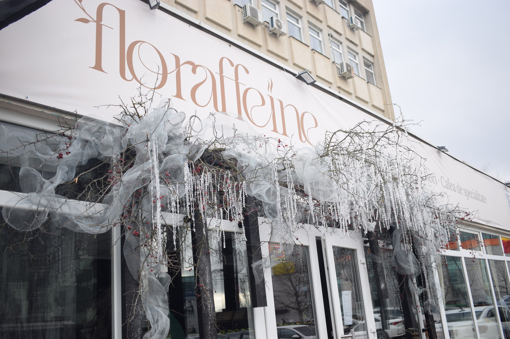 Floraffeine s-a deschis în Iași – florărie & cafenea cu suflet, jocuri și bucurie pentru toată familia - imagine 2