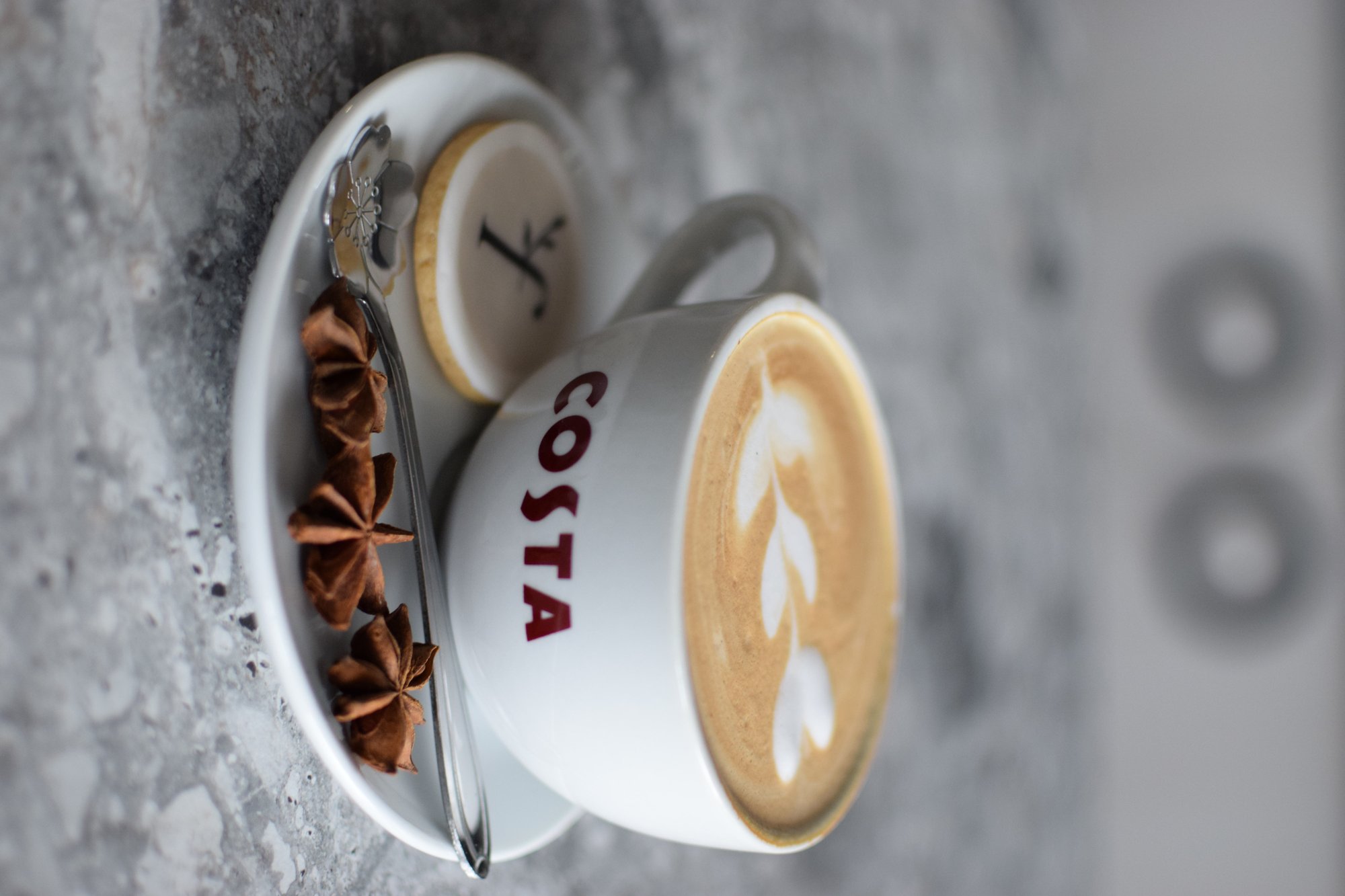 Floraffeine s-a deschis în Iași – florărie & cafenea cu suflet, jocuri și bucurie pentru toată familia - imagine 4