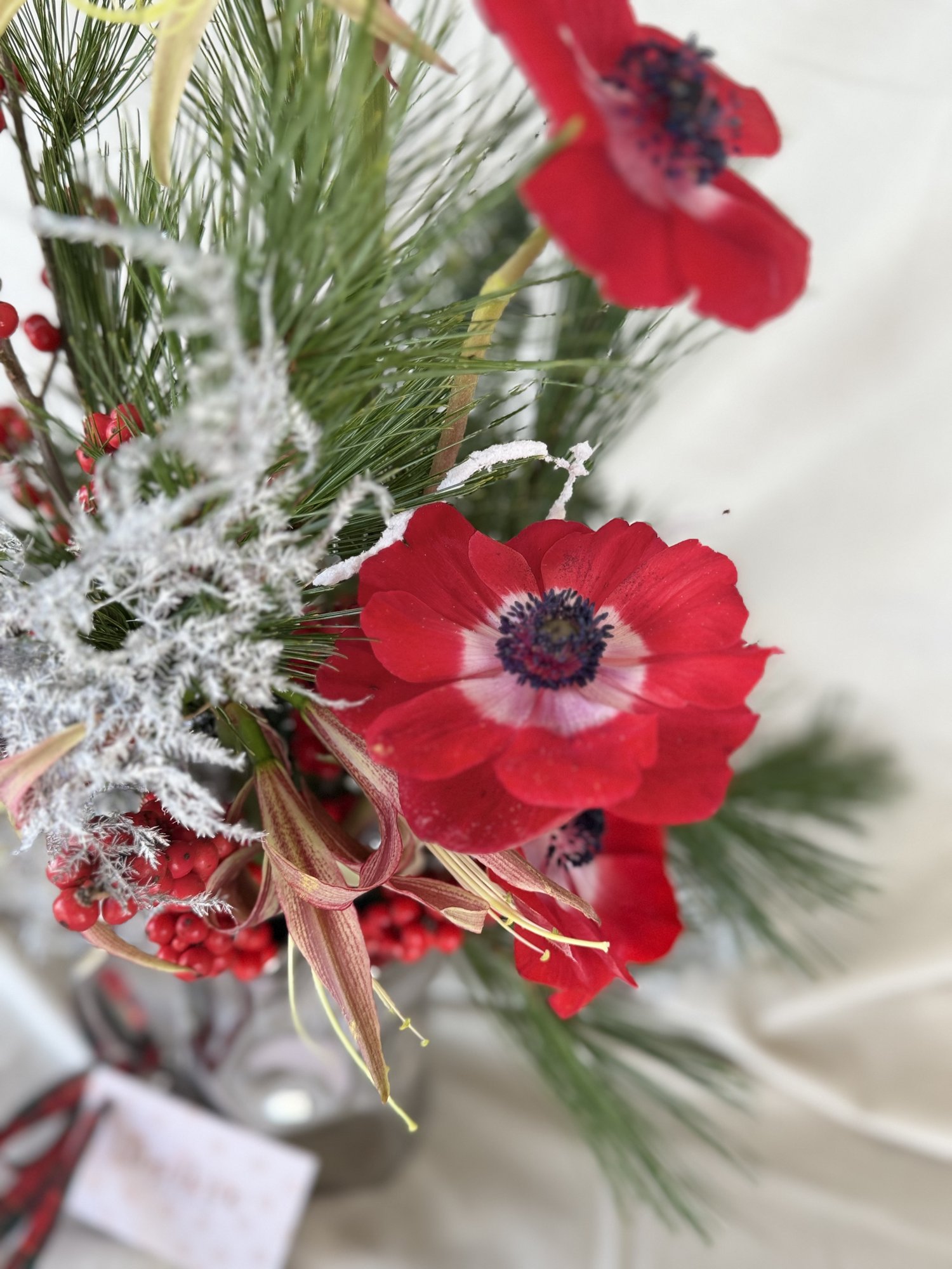 Scarlet Winter Muse — Couture de iarna cu accente vibrante - Imagine 2